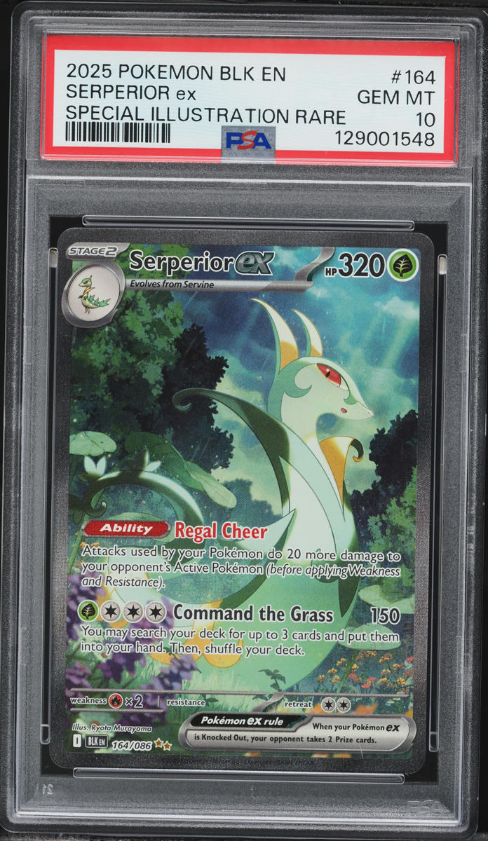 2025 Pokemon Scarlet & Violet Black Bolt SIR Serperior ex #164 PSA 10 GEM MINT