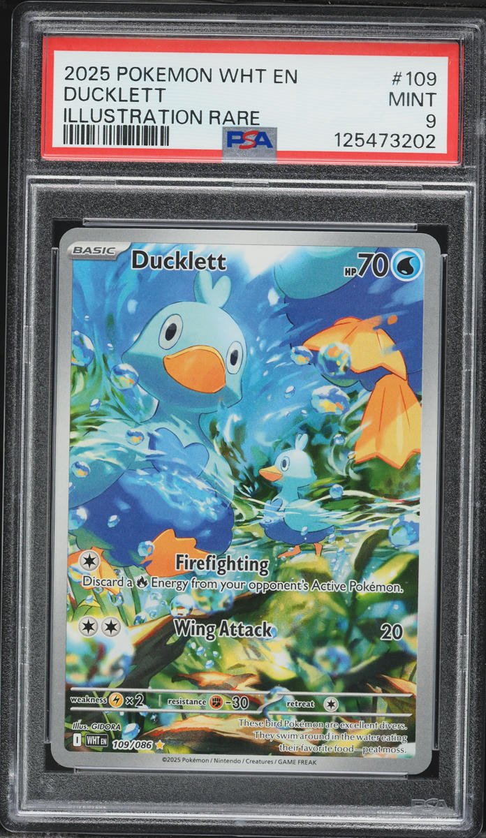 2025 Pokemon Scarlet & Violet White Flare IR Ducklett #109 PSA 9 MINT