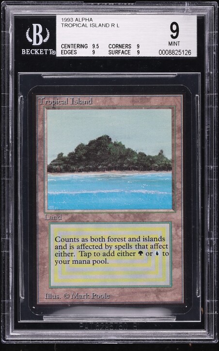 MTG 山 サマー PSA8 Mountain (A) - Summer Magic - Magic: The Gathering - TCGplayer.com