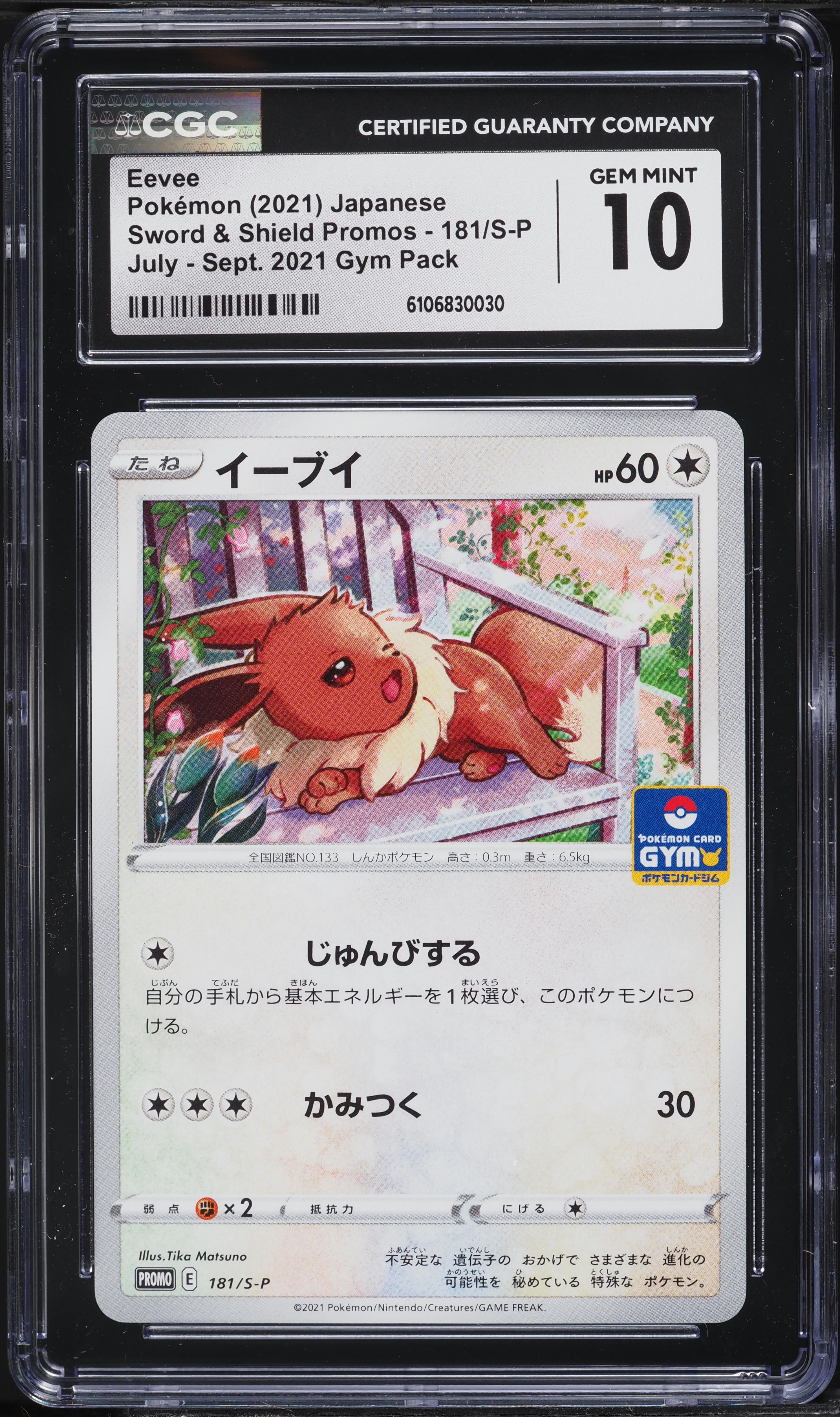 2021 Pokemon Japanese Sword & Shield Promo Gym Pack Eevee #181 CGC