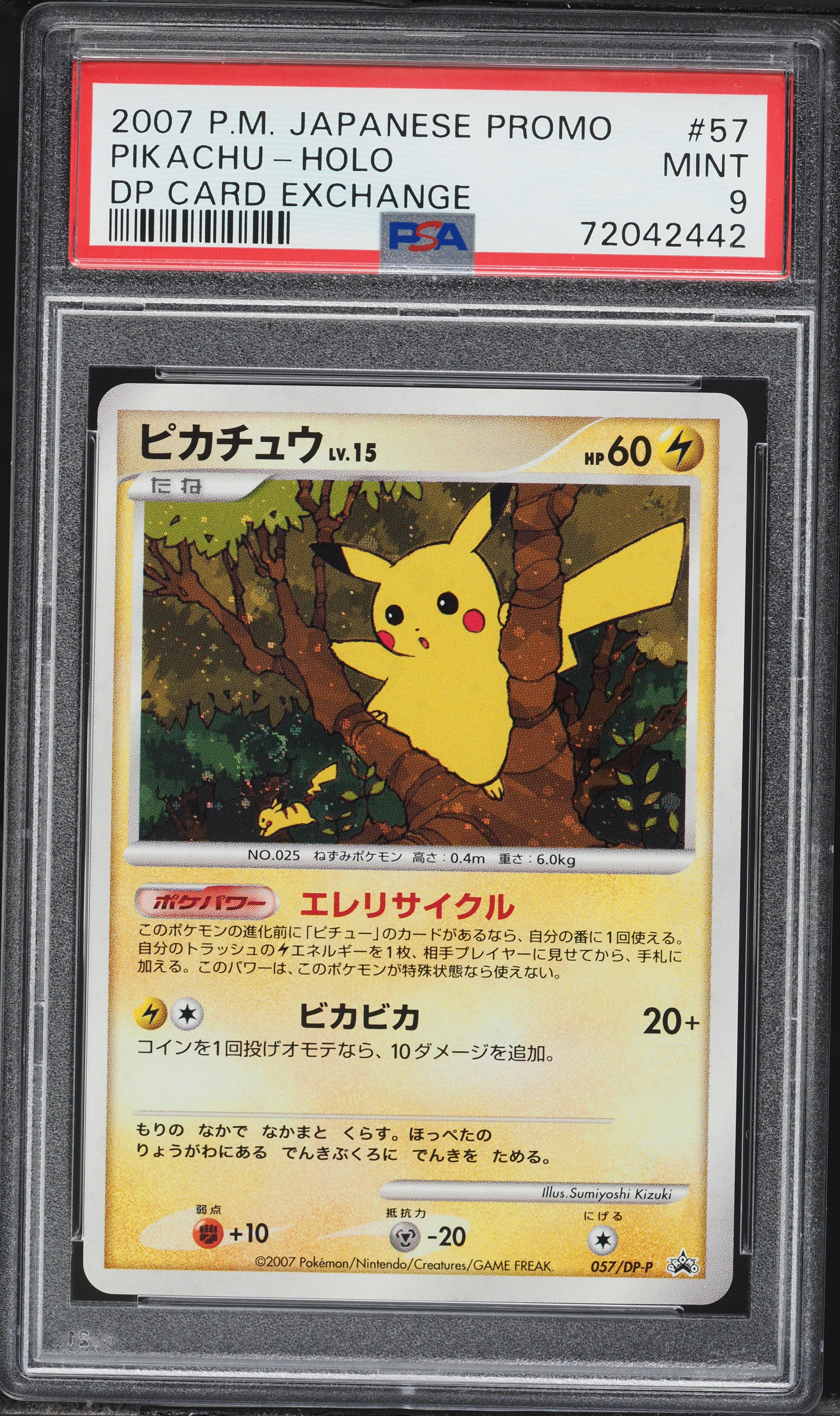 2007 Pokemon Japanese Promo Summer Battle Road Holo Pikachu #57