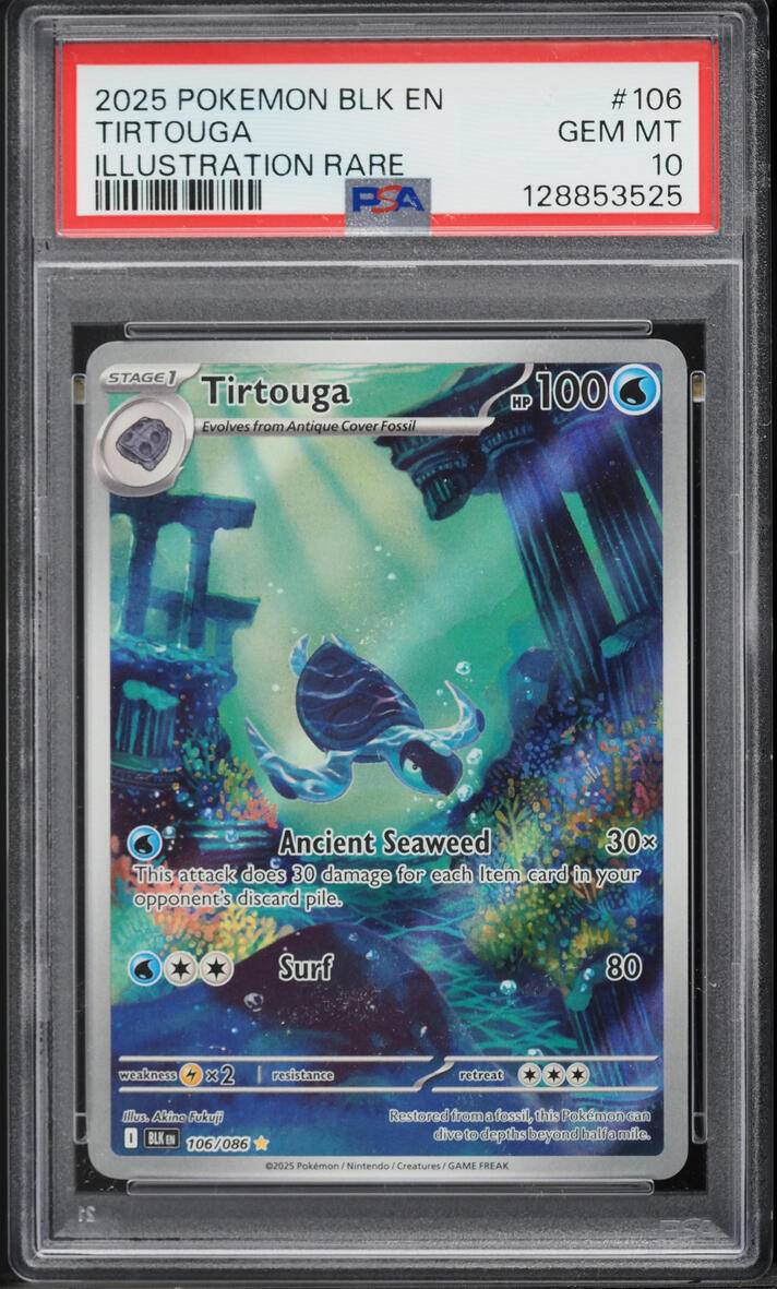 tirtouga pokemon card AR 110/86 sv11B Black Bolt Japanese if this Pokémon is in your discard pile Little Tirtouga Can Do So