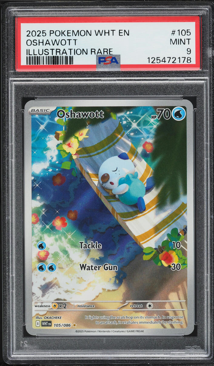 2025 Pokemon Scarlet & Violet White Flare IR Oshawott #105 PSA 9 MINT