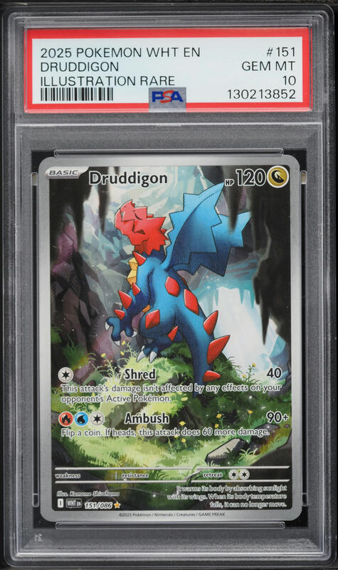 2025 Pokemon Scarlet & Violet White Flare IR Druddigon #151 PSA 10 GEM MINT
