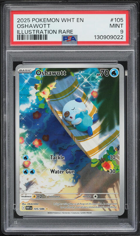 2025 Pokemon Scarlet & Violet White Flare IR Oshawott #105 PSA 9 MINT