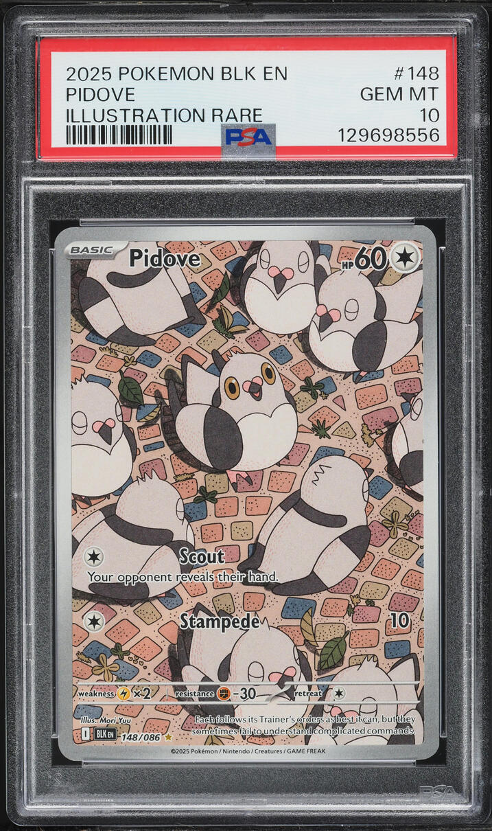 2025 Pokemon Scarlet & Violet Black Bolt IR Pidove #148 PSA 10 GEM MINT