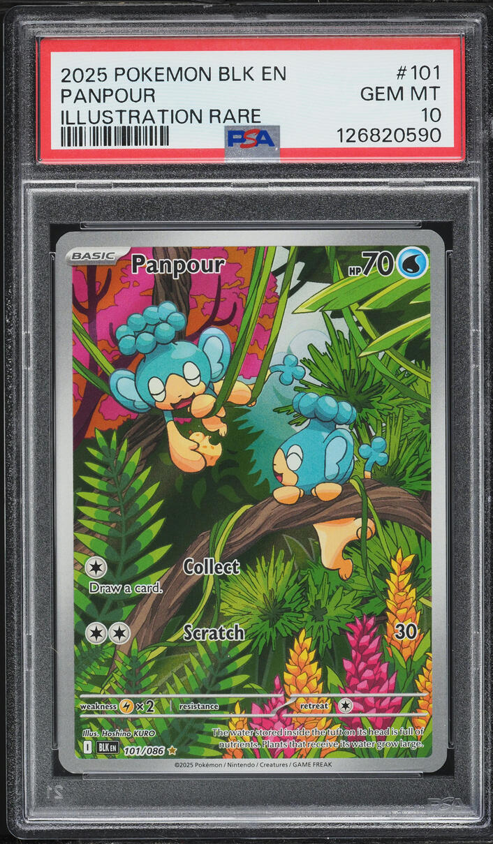2025 Pokemon Scarlet & Violet Black Bolt IR Panpour #101 PSA 10 GEM MINT