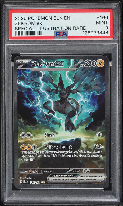 2025 Pokemon Scarlet & Violet Black Bolt Special Illustration Rare