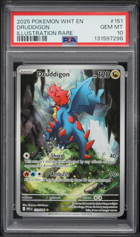 2025 Pokemon Scarlet & Violet White Flare IR Druddigon #151 PSA 10 GEM MINT