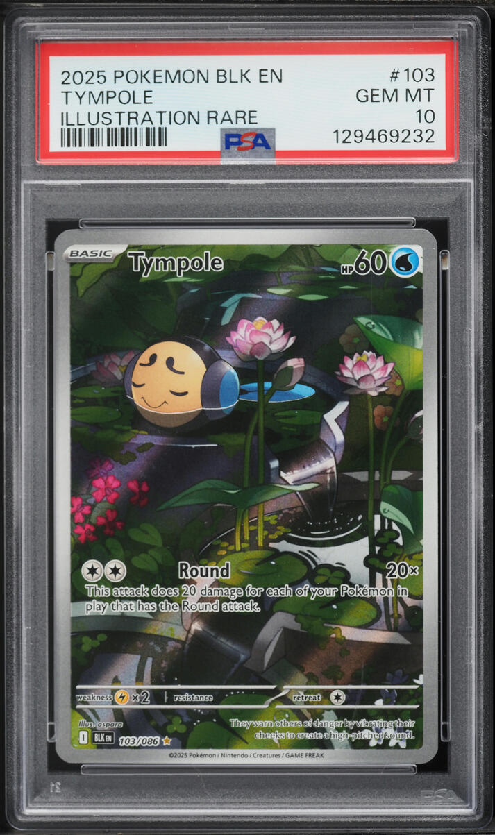 2025 Pokemon Scarlet & Violet Black Bolt IR Tympole #103 PSA 10