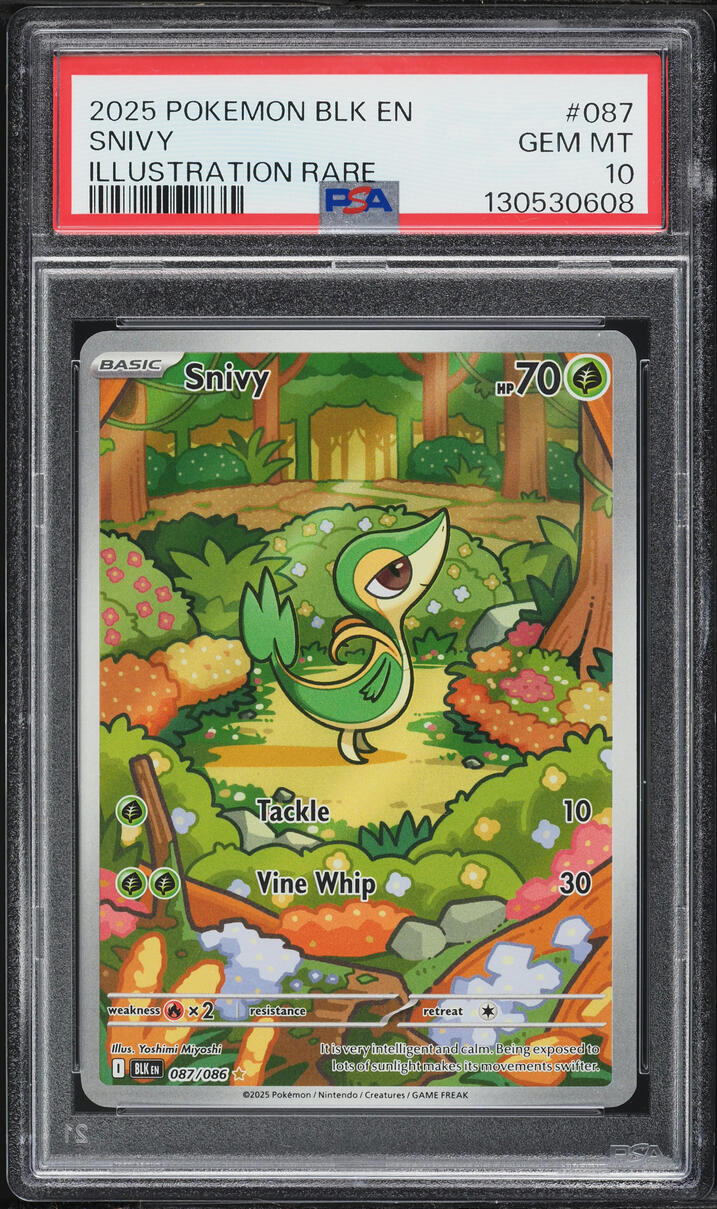 2025 Pokemon Scarlet & Violet Black Bolt IR Snivy #87 PSA 10 GEM MINT