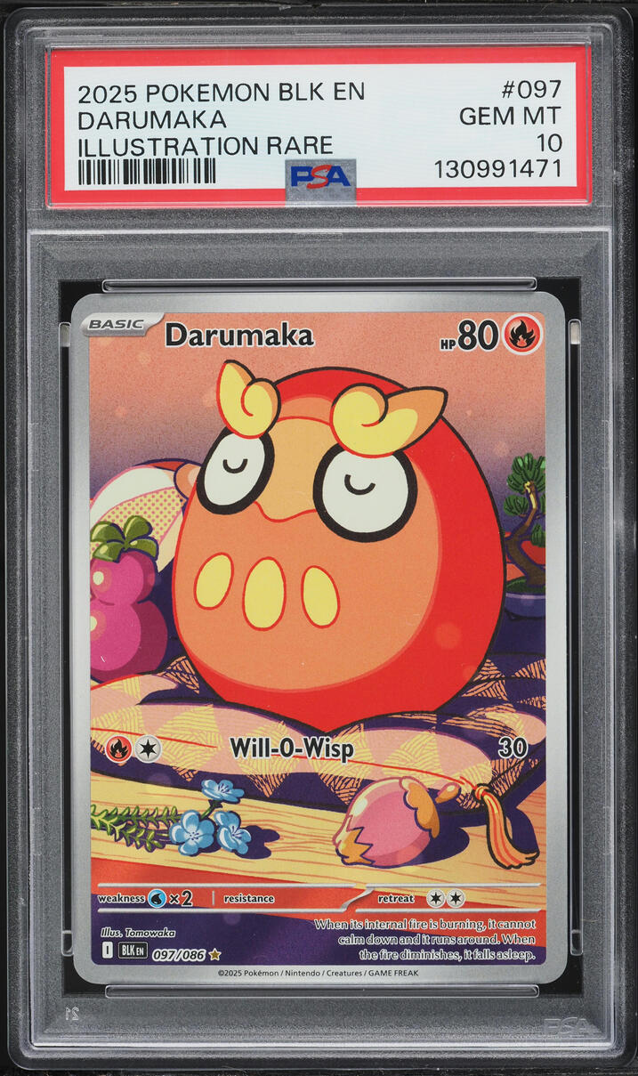 2025 Pokemon Scarlet & Violet Black Bolt IR Darumaka #97 PSA 10 GEM MINT