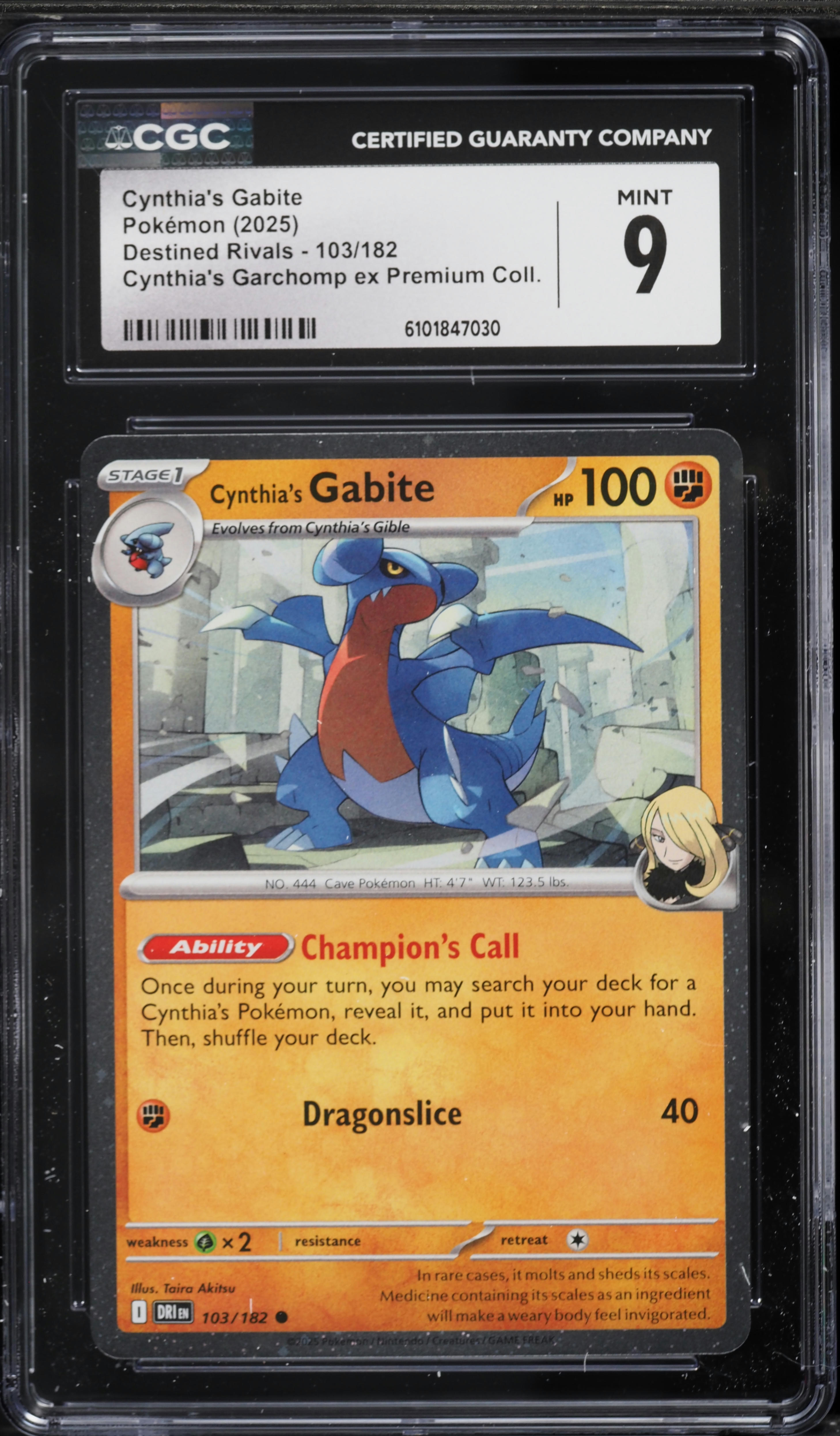 pokemon cards with trainers Trainer Galleries  JustInBasil's Pokmon TCG Resources