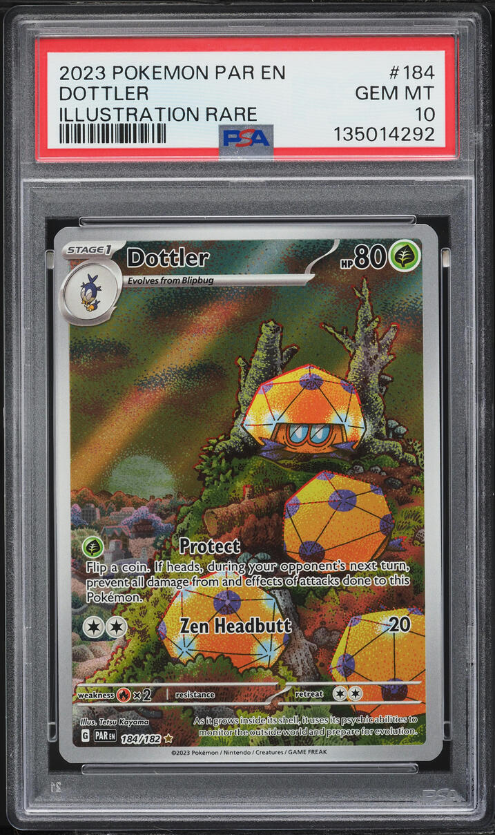 2023 Pokemon Scarlet & Violet Paradox Rift IR Dottler #184 PSA 10 GEM MINT
