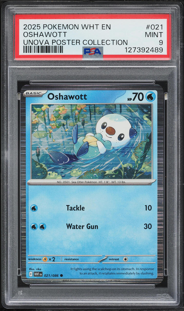 2025 Pokemon Scarlet & Violet White Flare Poster Collection Oshawott #21 PSA 9 MINT