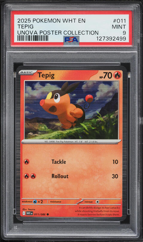 2025 Pokemon Scarlet & Violet White Flare Poster Collection Tepig #11 PSA 9 MINT