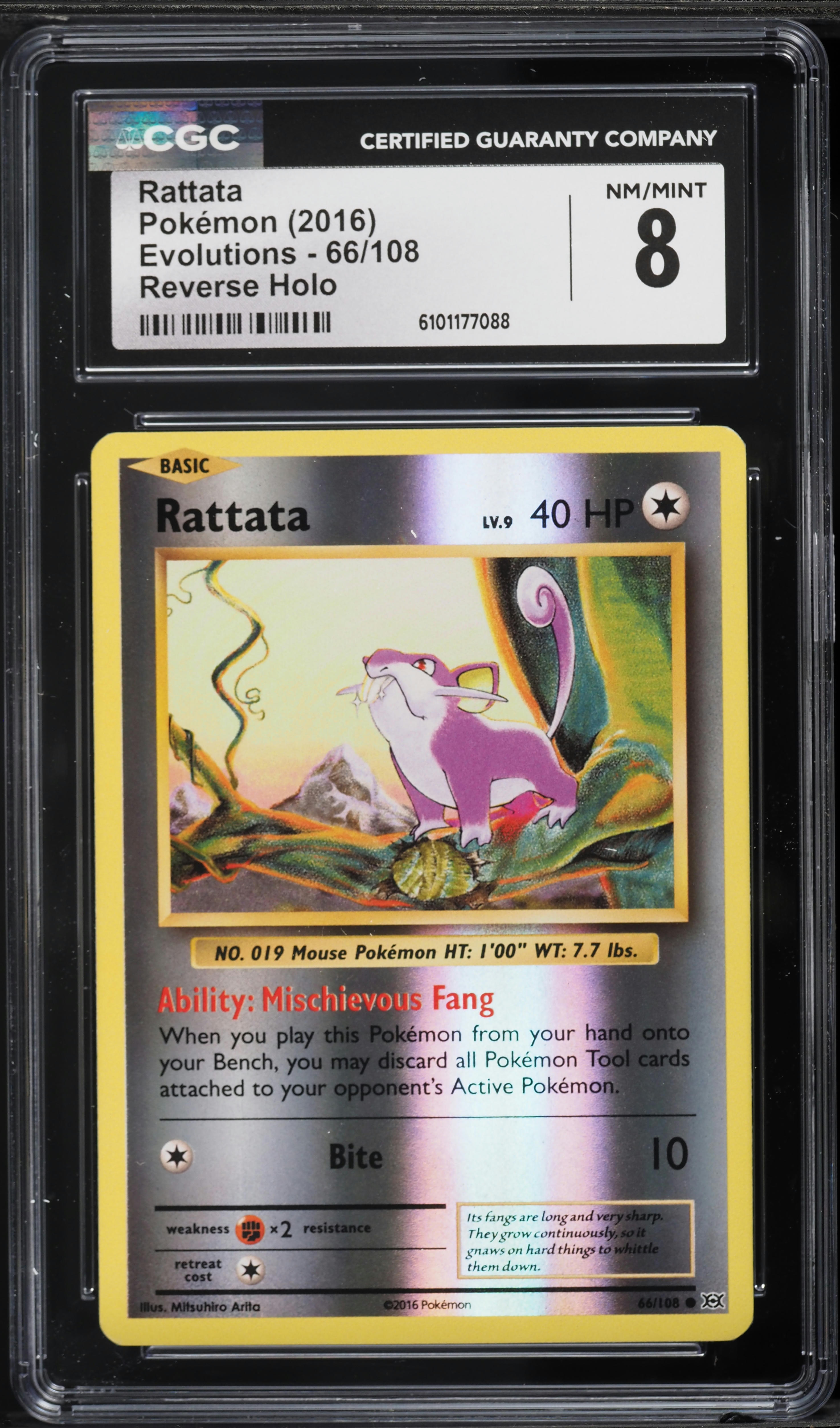 rattata pokemon card value 2016 Pokmon TCG: Flareon Master Ball 021/187 sv8a Terastal Festival ex