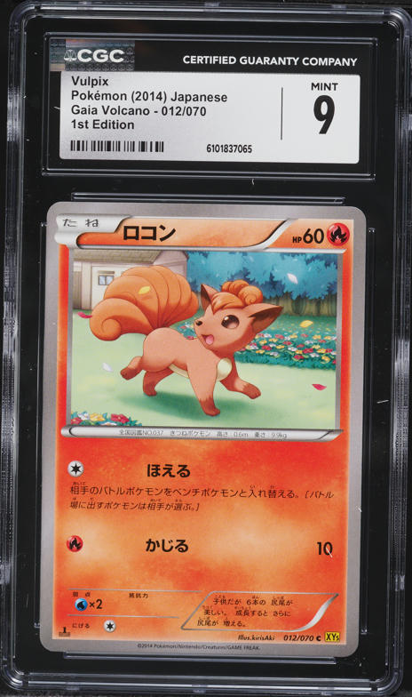 hitmontop pokemon card Pokemon Card Hitmontop Lv.31 No.237 Old Back Holo Rare 2000 EX Japanes