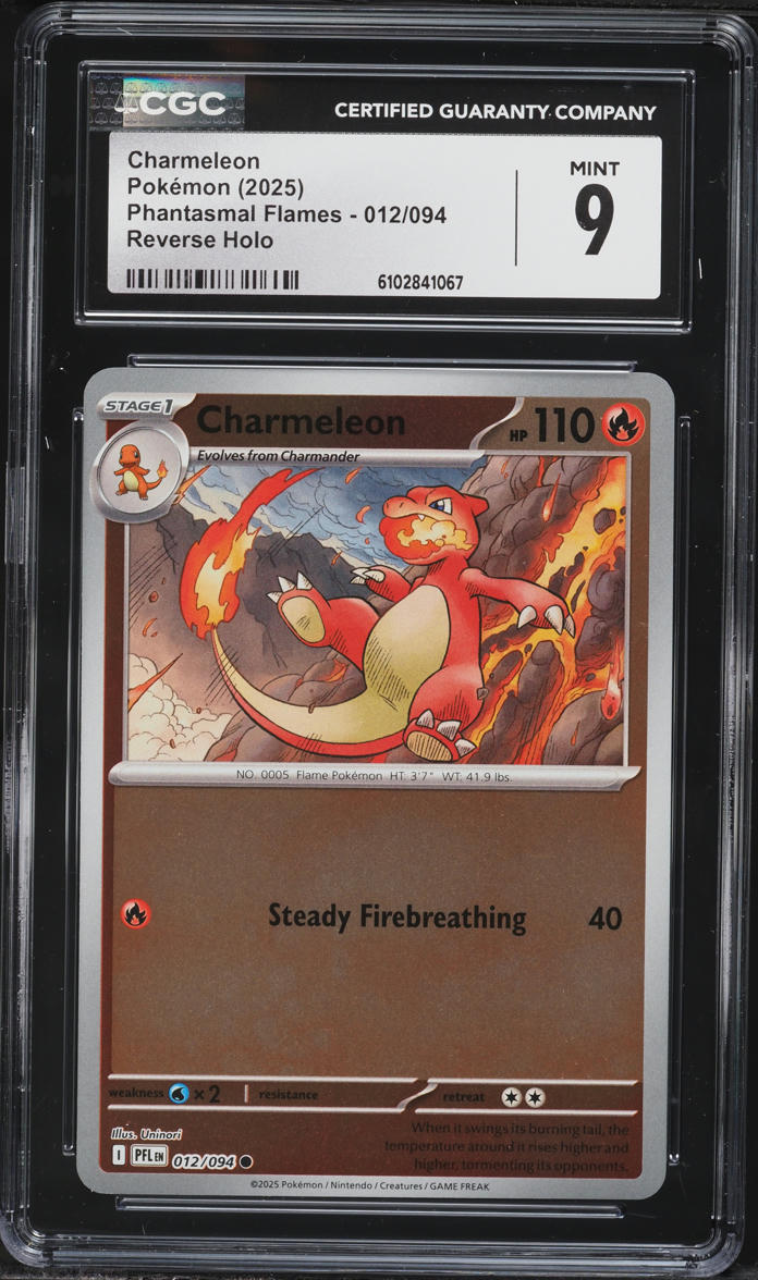 pokemon go trainer card Pokemon Pokemon GO Elite Trainer Box 10 Booster Packs, Promo Card, 65  Sleeves More Pokemon USA