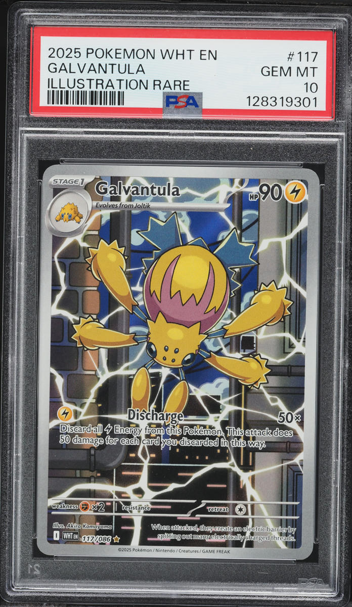 2025 Pokemon Scarlet & Violet White Flare IR Galvantula #117 PSA 10 GEM MINT