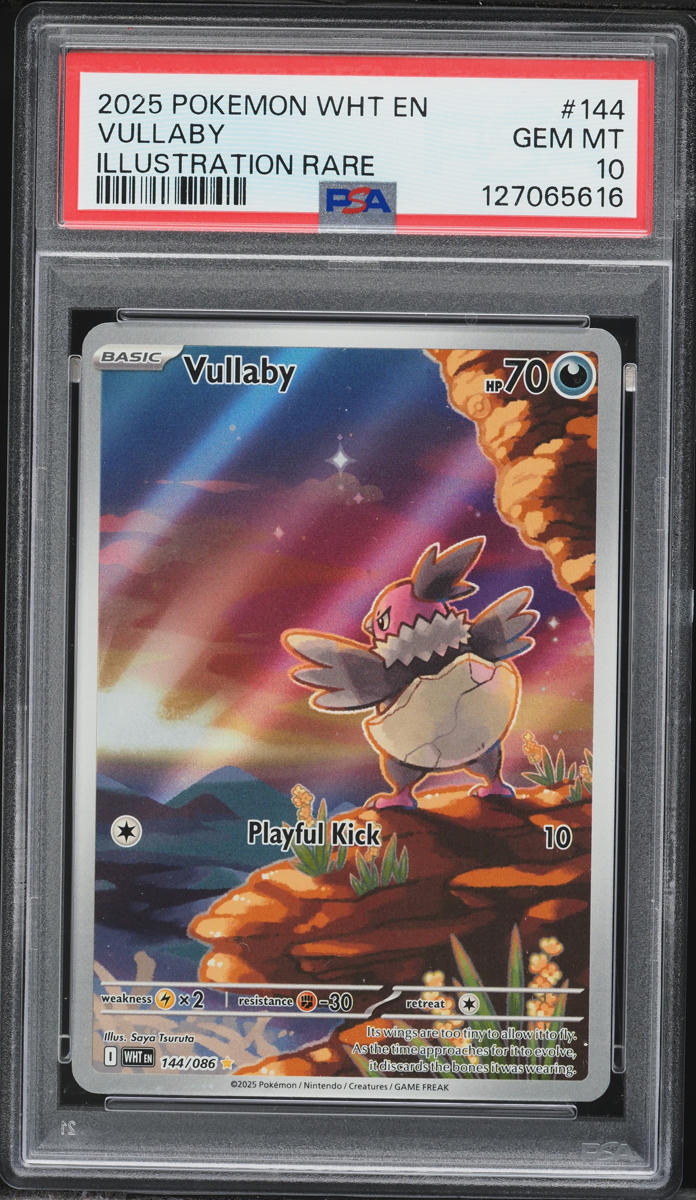 2025 Pokemon Scarlet & Violet White Flare Illustration Rare Vullaby #144 PSA 10 GEM MINT