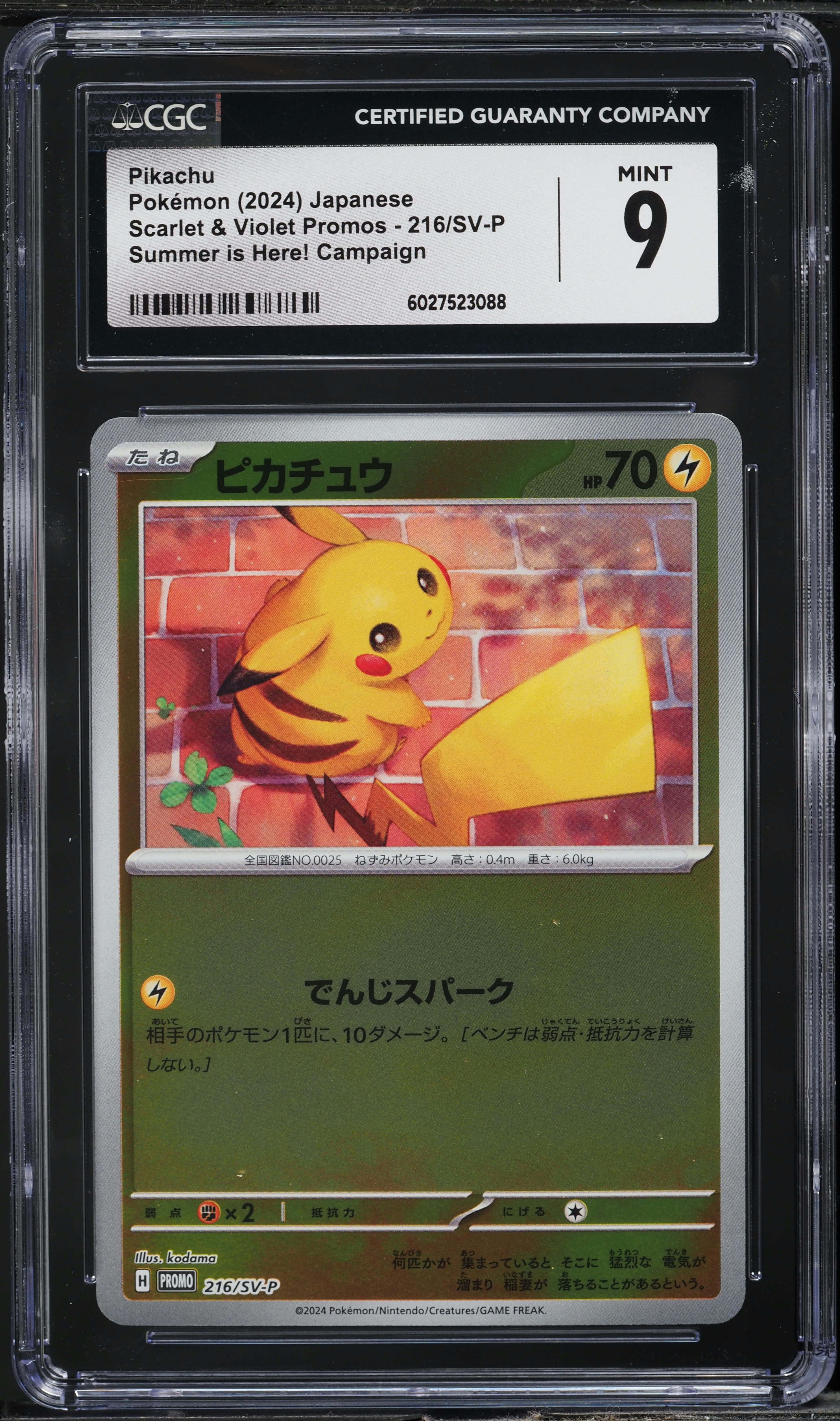 2024 Pokemon Japanese SV Promo Summer Is Here! Campaign Pikachu