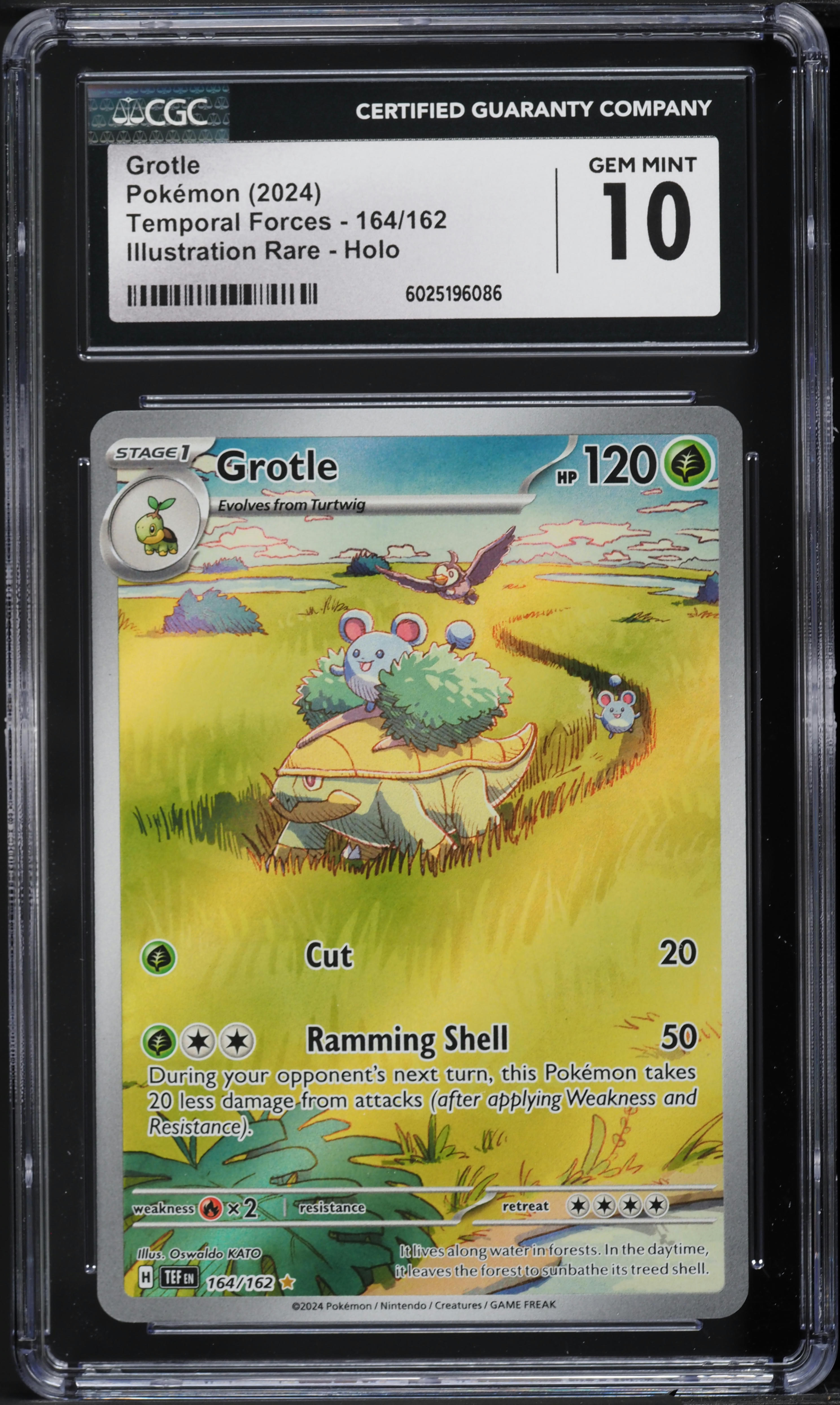 grotle pokemon card Art Rare (072) 2024 Korean Sv5k-Wild Force Placeholder Image Provided Top 5 RAREST Grotle Pokmon