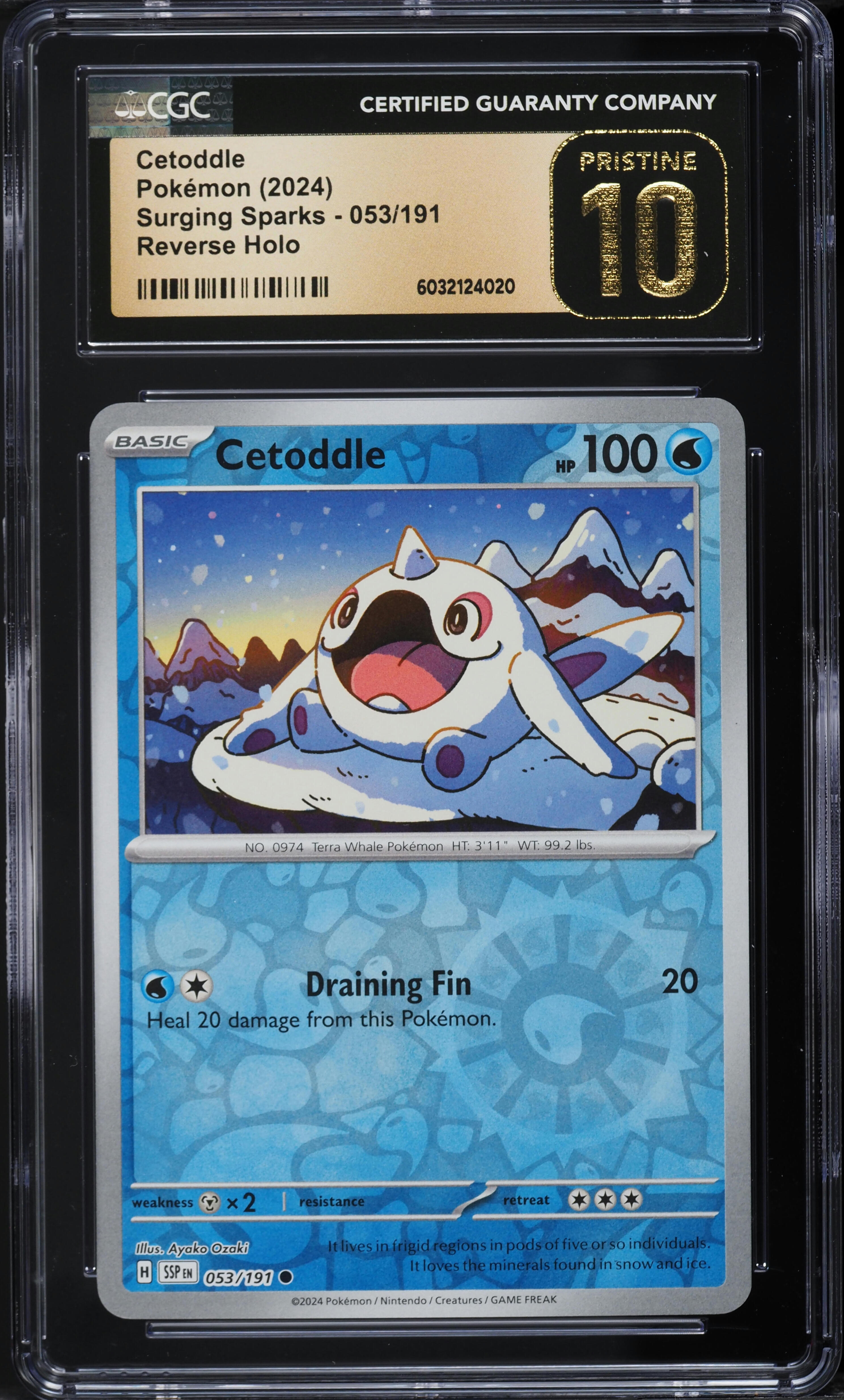 2024 Pokemon SV Surging Sparks Reverse Holo Cetoddle #53 CGC 10 PRISTINE on  Fanatics Collect
