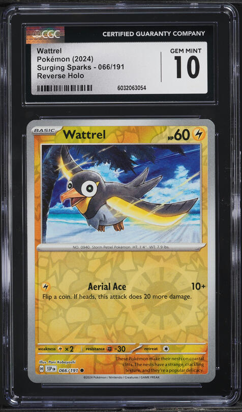 2024 Pokemon SV Surging Sparks Reverse Holo Wattrel #66 CGC 10 GEM MINT on  Fanatics Collect