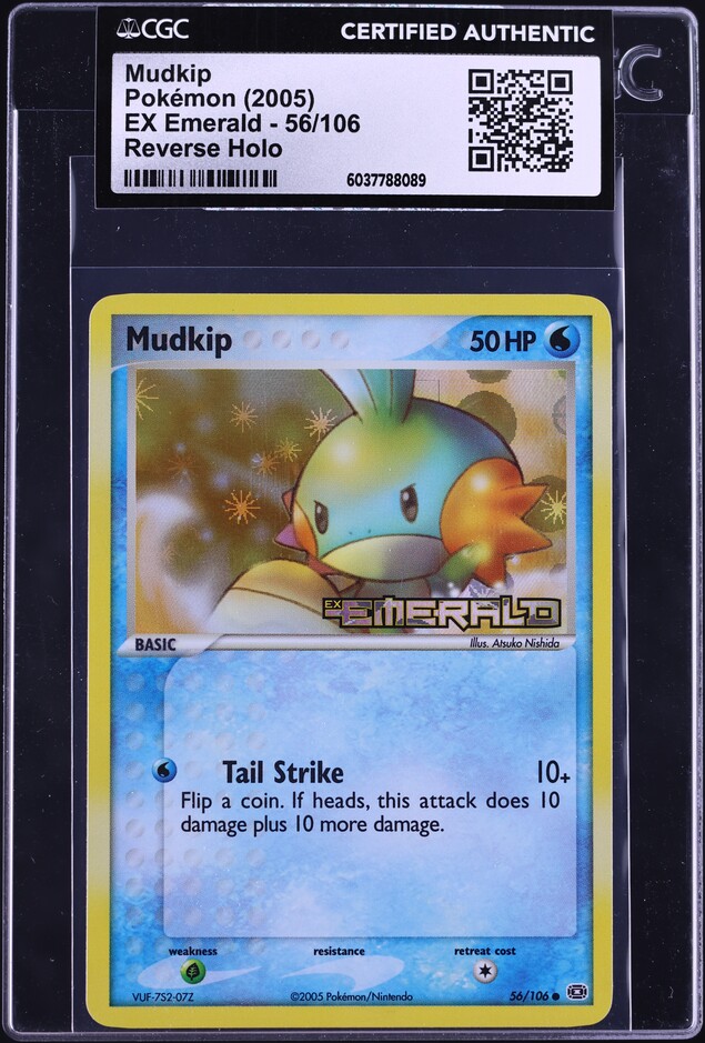 old dragonite pokemon card Unopened Promo] Mudkip 109/XY-P – 晴れる屋2