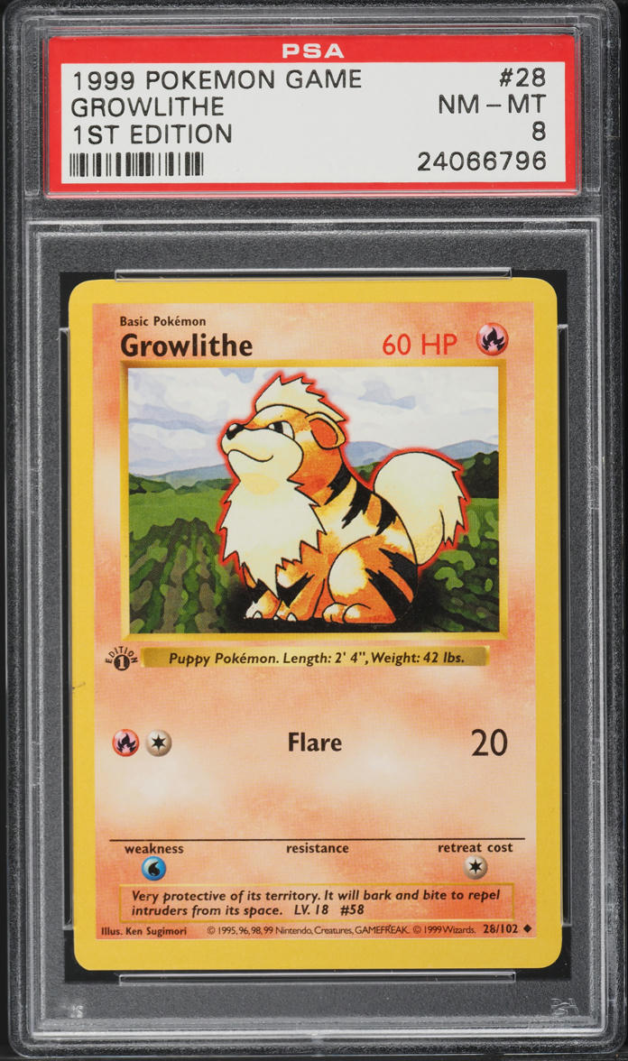 1999 Pokemon Base Set Shadowless 1st Edition Growlithe #28 PSA 8 NM-MT