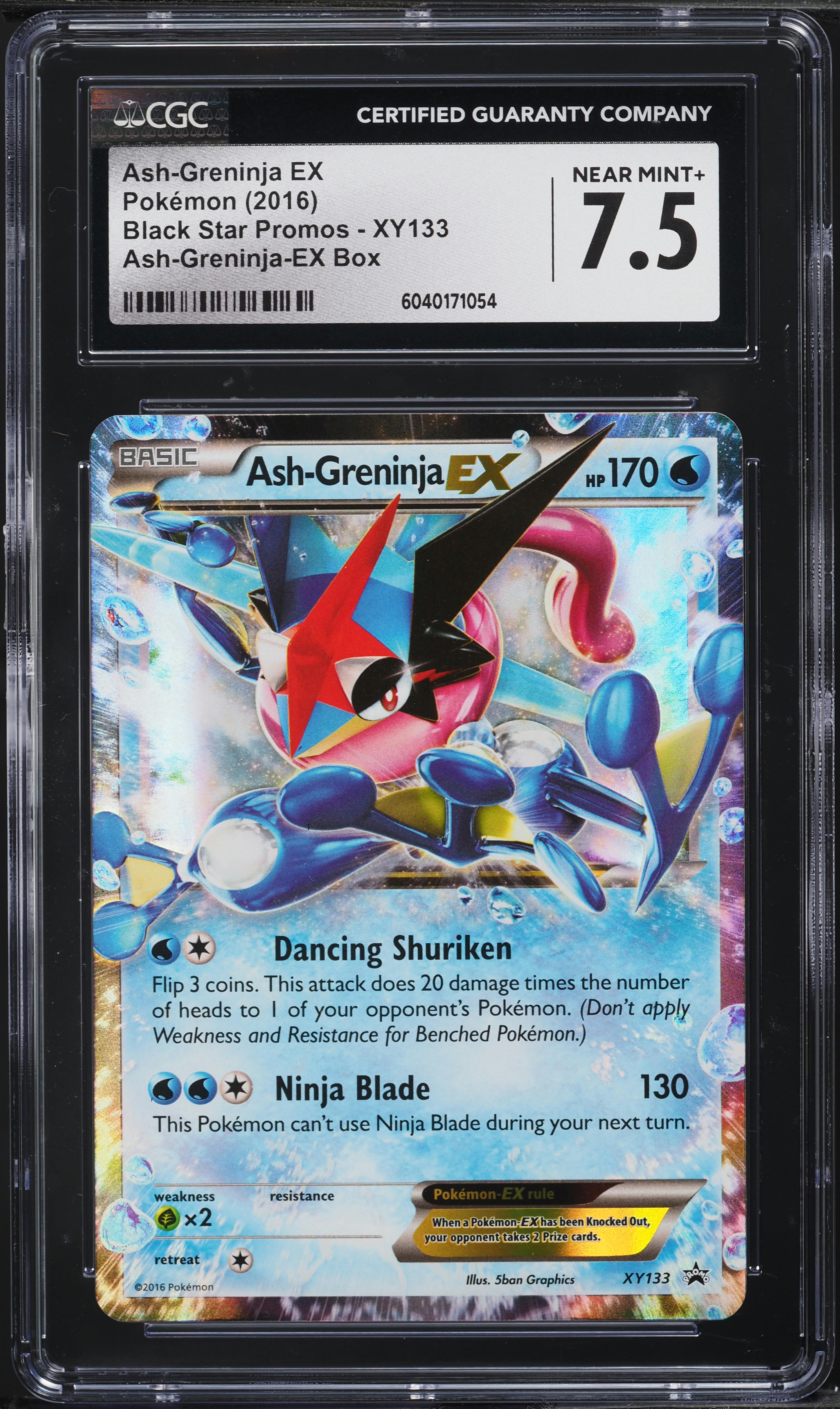 クラゲ ミズクラゲ – 男鹿水族館GAO