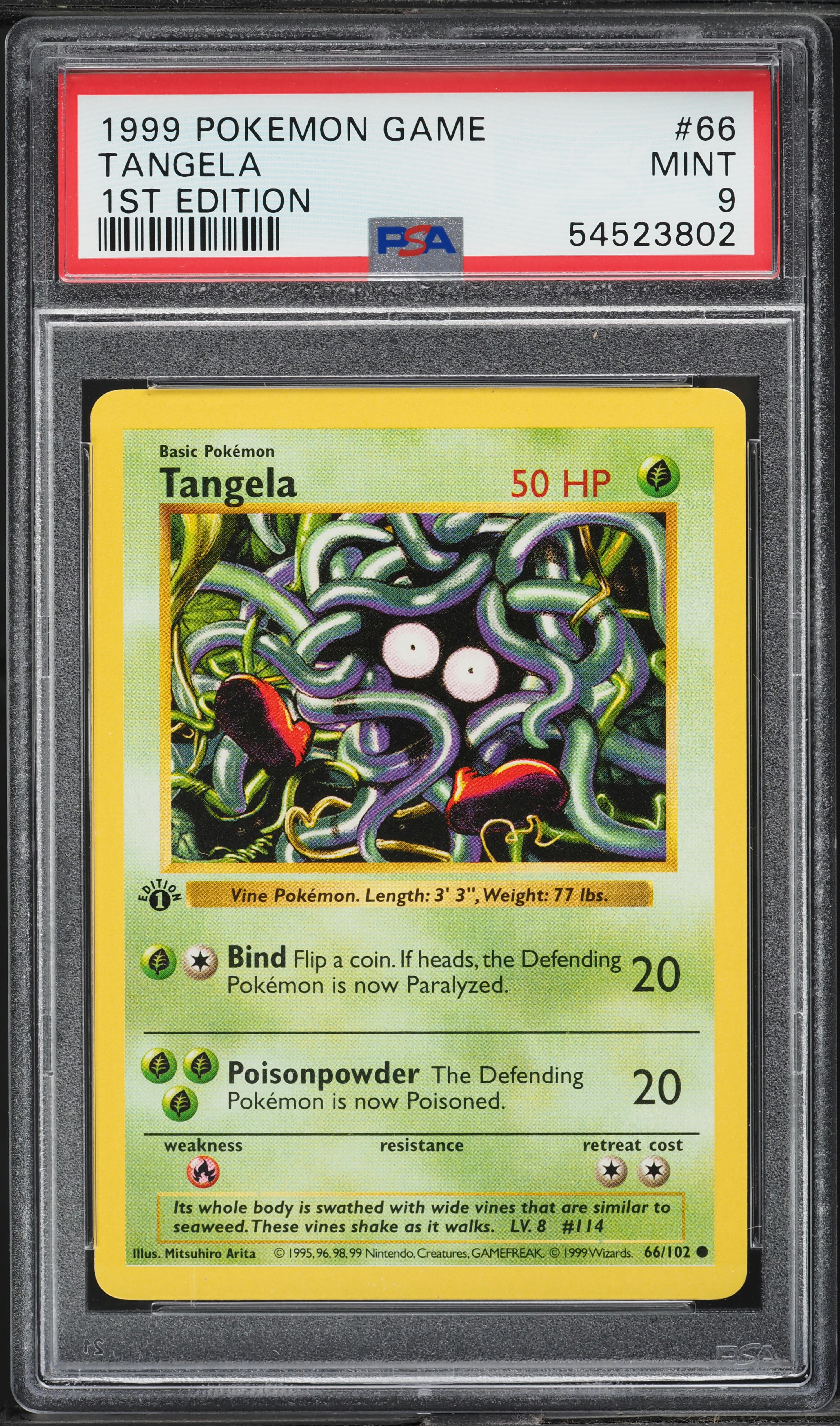 Pokemon Base Set Common Tangela #66 [Shadowless]
