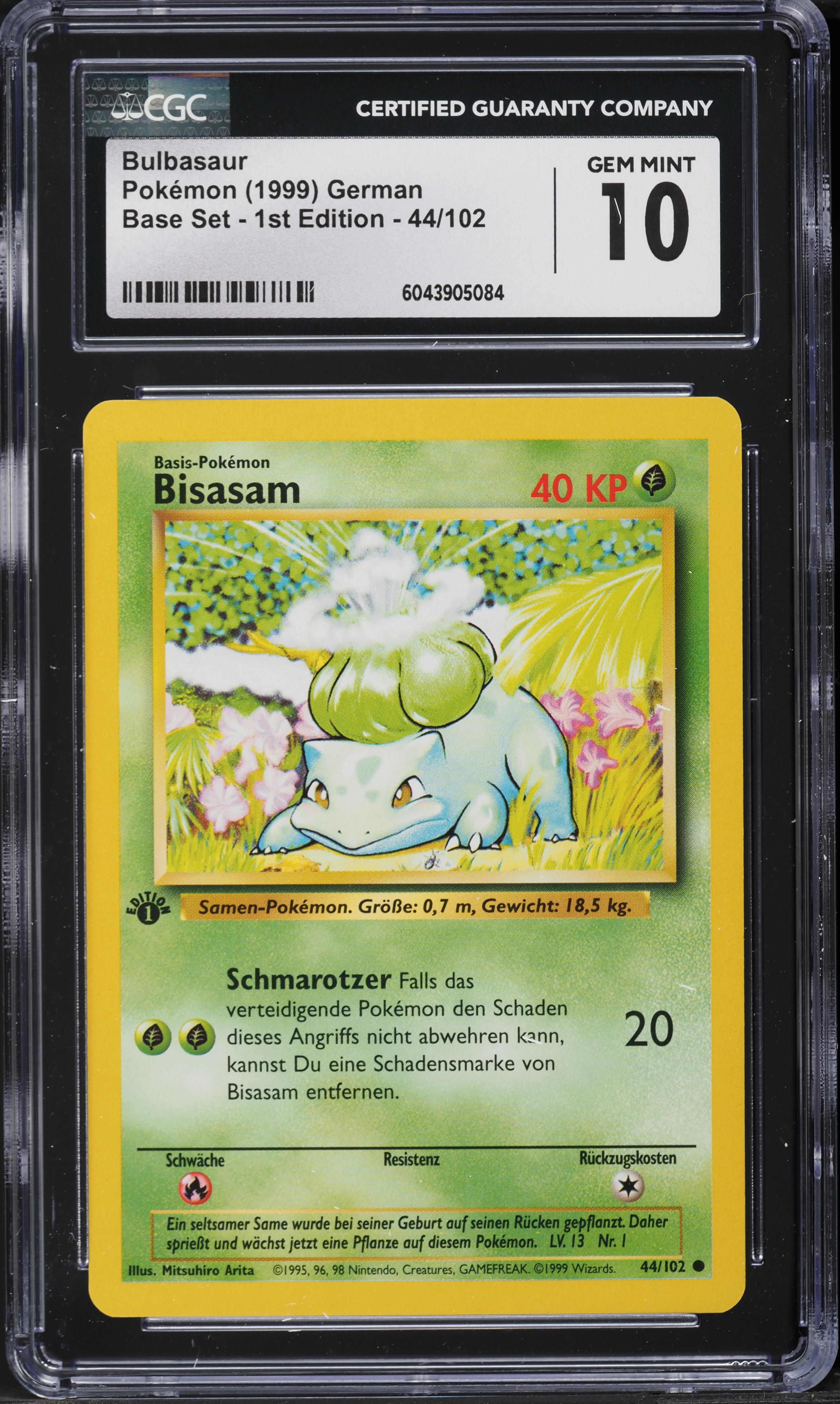 pokemon trading card game collector chest summer 2024 Pokmon TCG:Summer 2024 Collector Chest