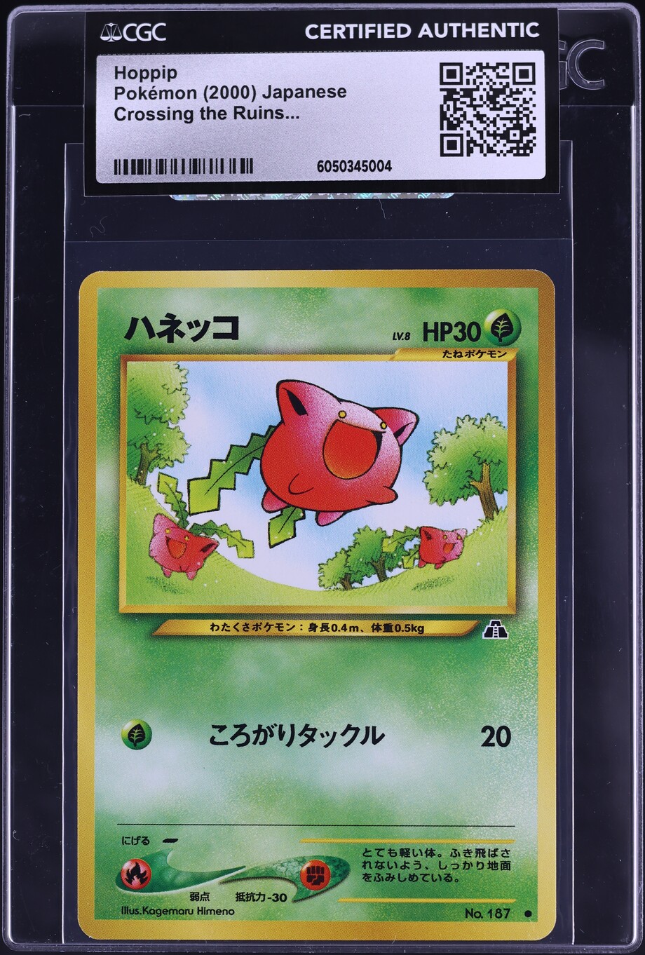 2000 Crossing the Ruins... - Japanese Hoppip