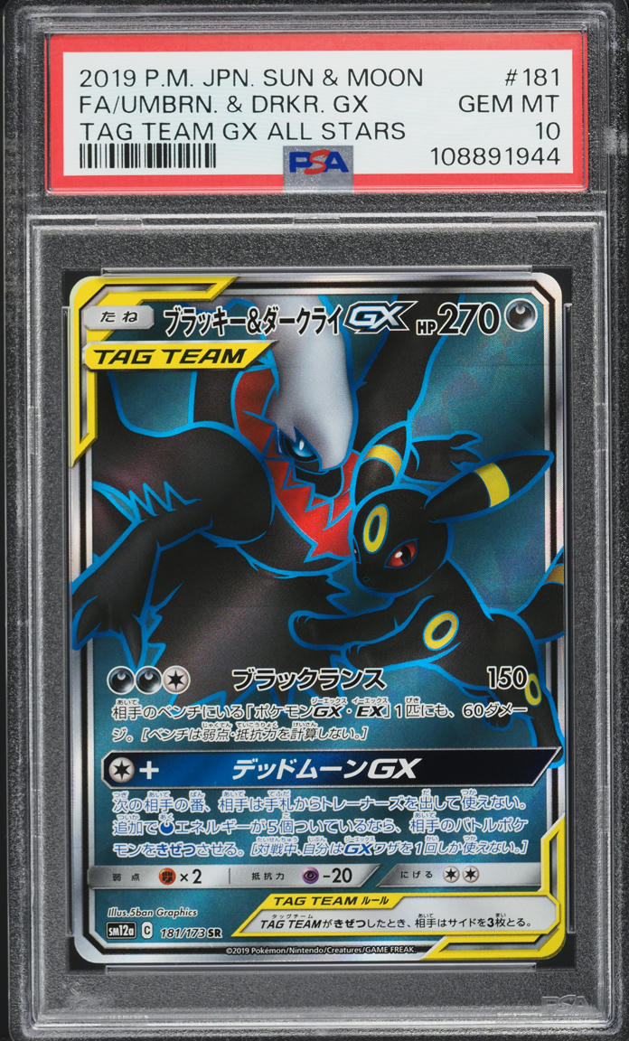 貝標本カタツムリEuhadra grata emurai sp黒色個体レアセット $_57.JPG