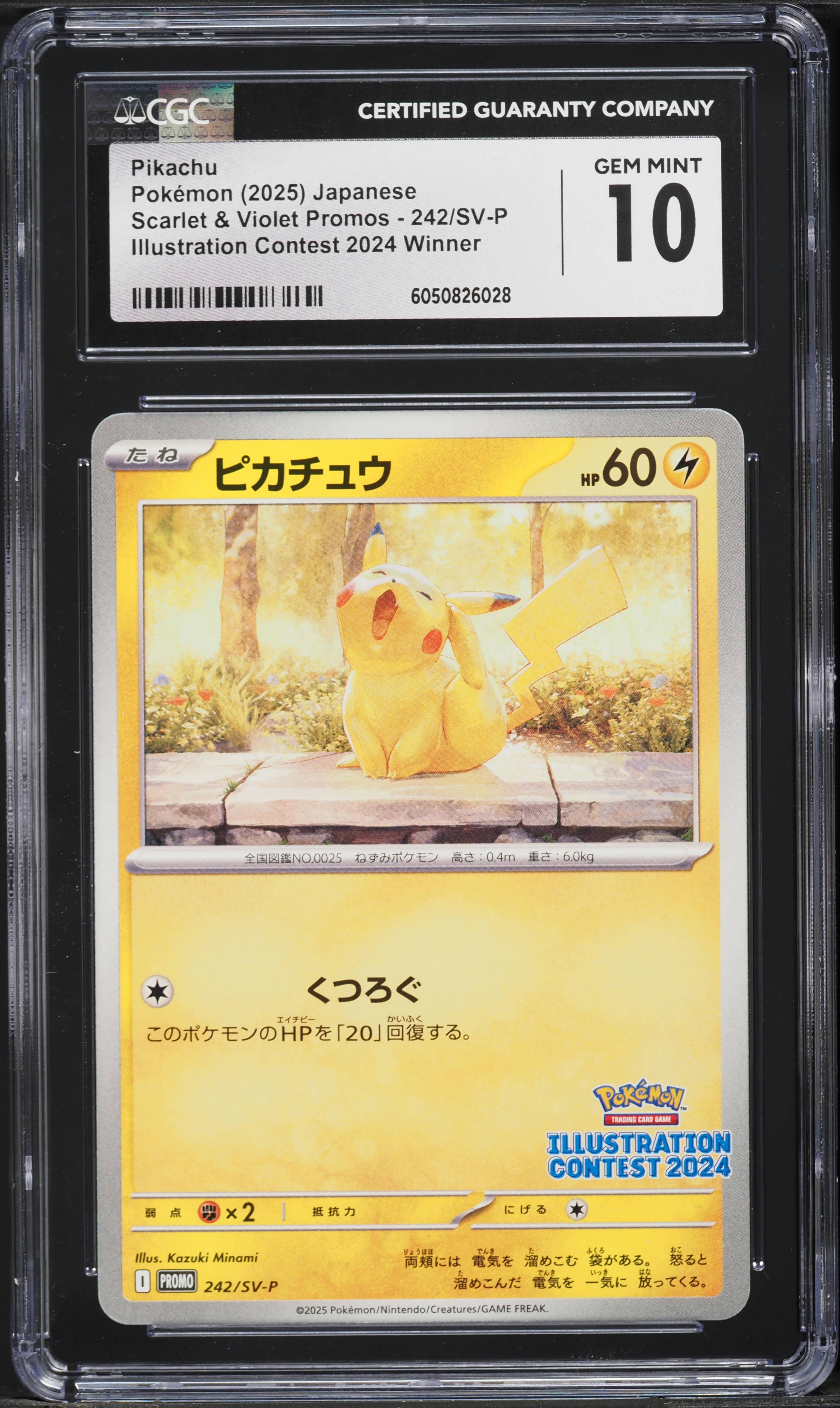 2025 Pokemon Japanese SV Promo Illustration Winner Pikachu #242