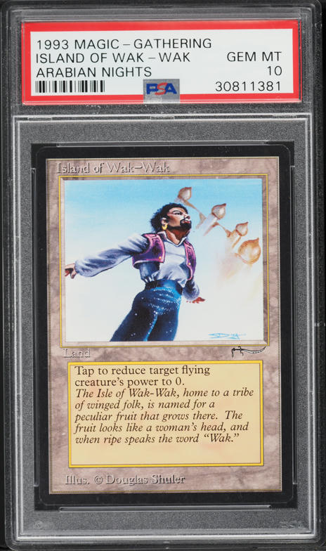 1993 Magic The Gathering MTG Arabian Nights Island Of Wak-Wak PSA