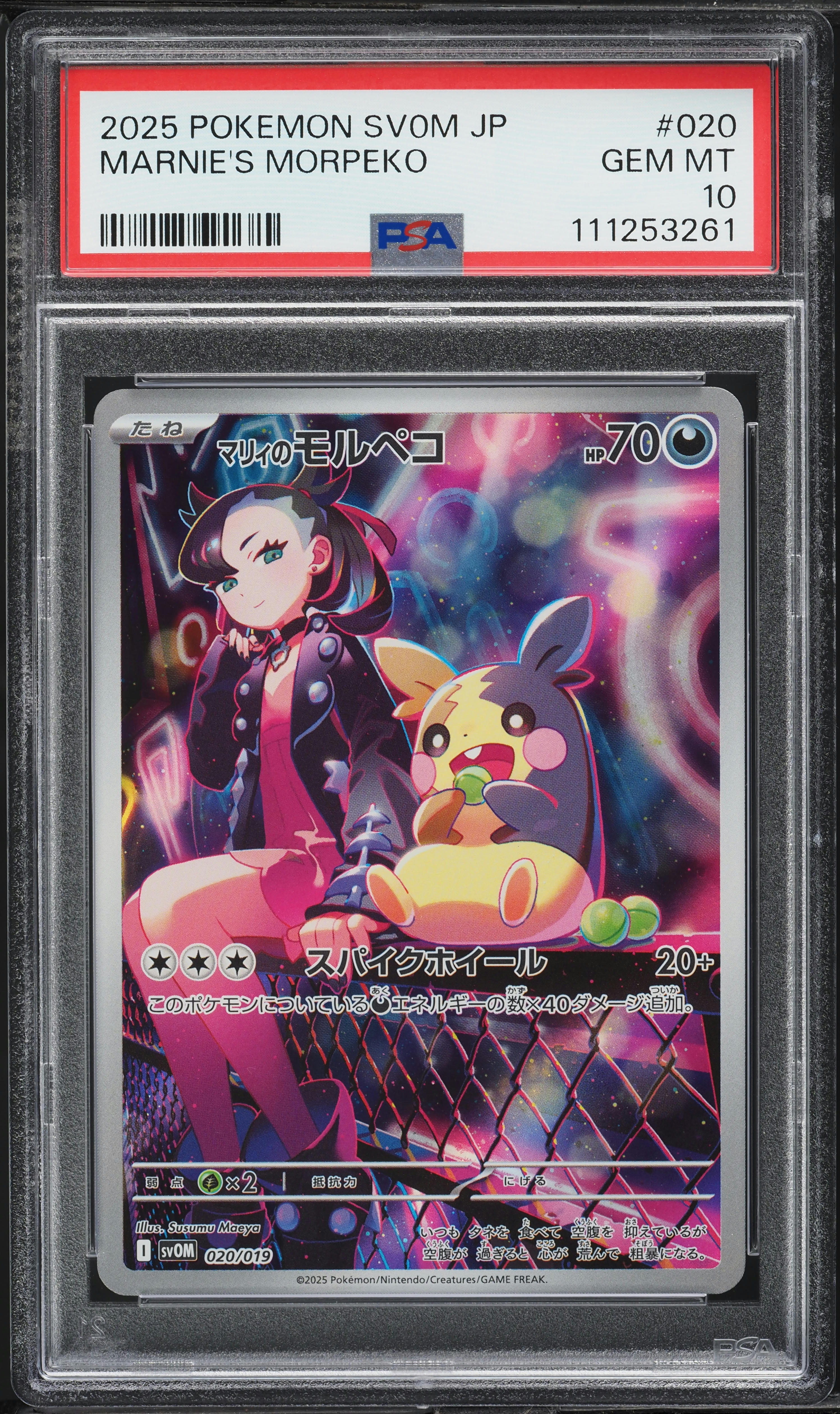 【PSA10】マリィのモルペコ AR プロモ/Marnie's Morpeko v1241757_2024061114115583R_11.jpg
