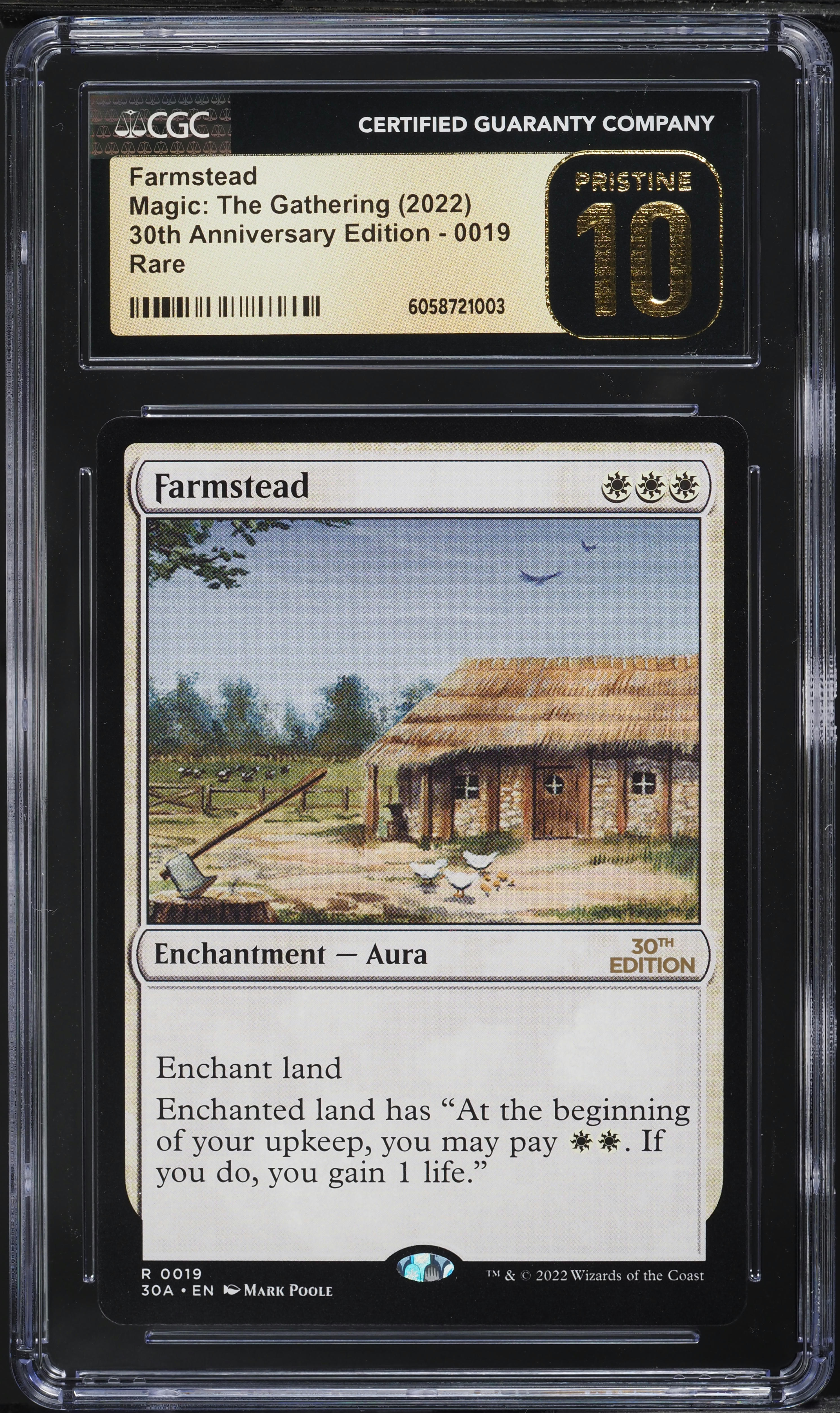 2022 Magic The Gathering MTG 30th Anniversary Edition Farmstead