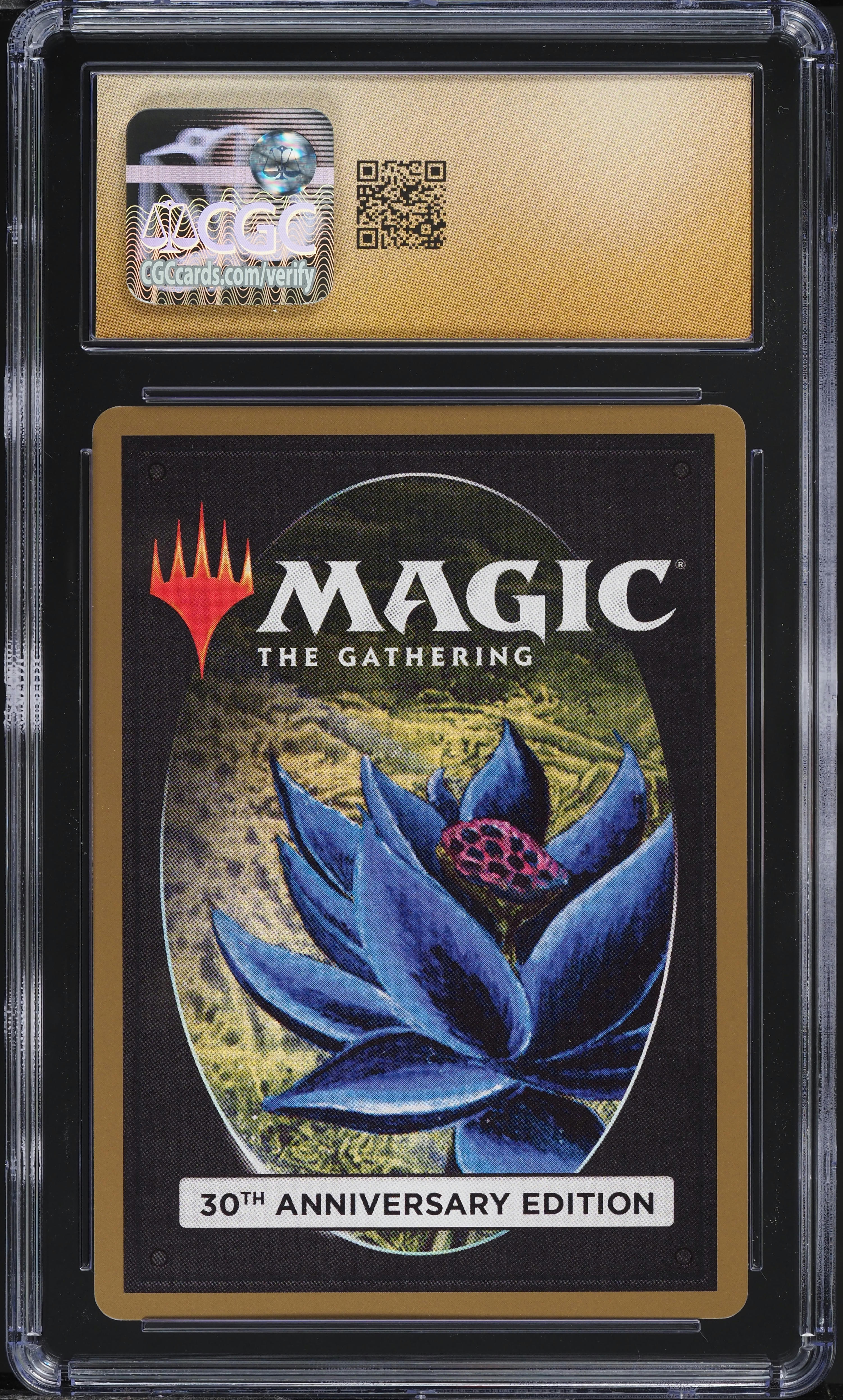 2022 Magic The Gathering MTG 30th Anniversary Edition Farmstead