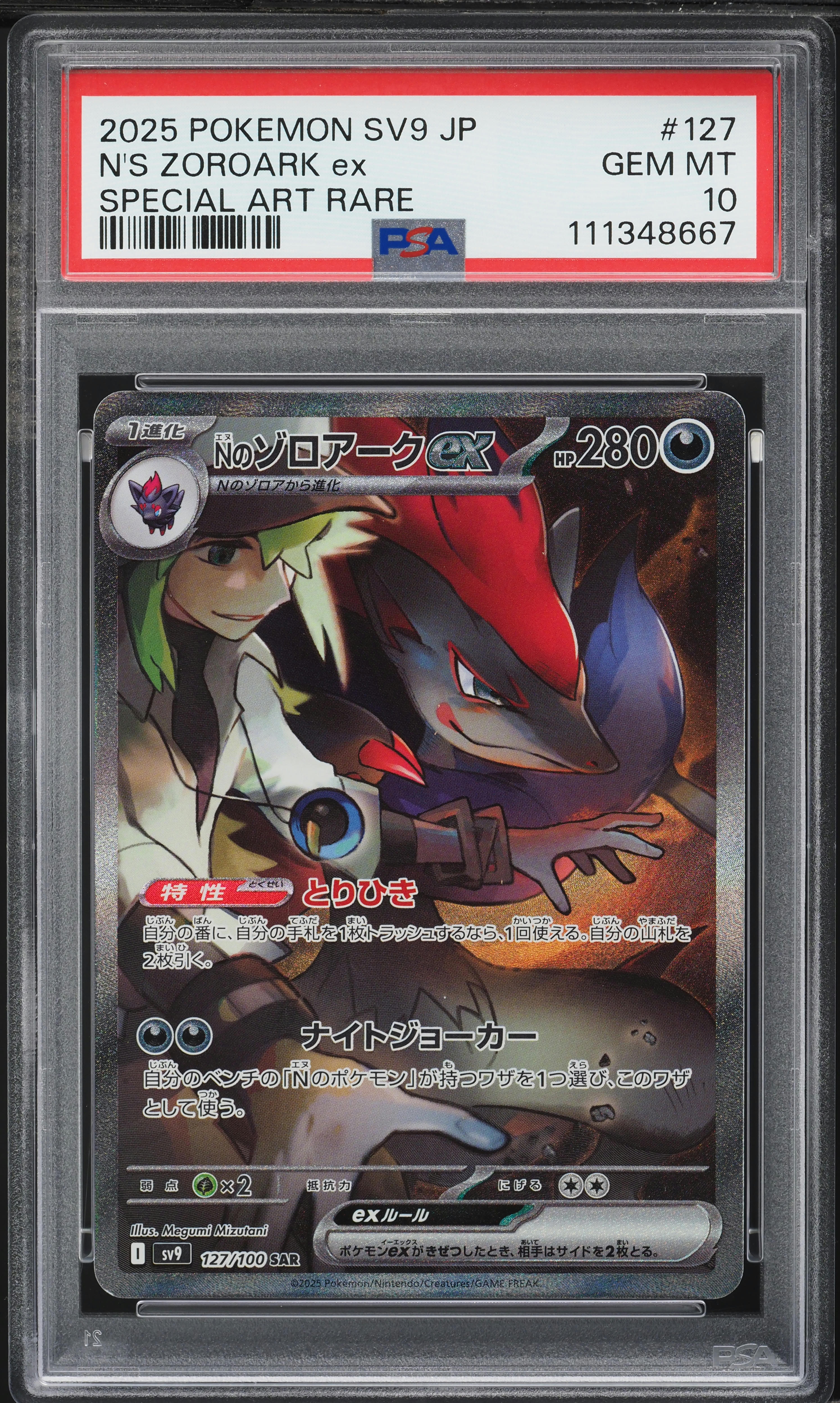 Pokemon Zoroark Shiny Card
