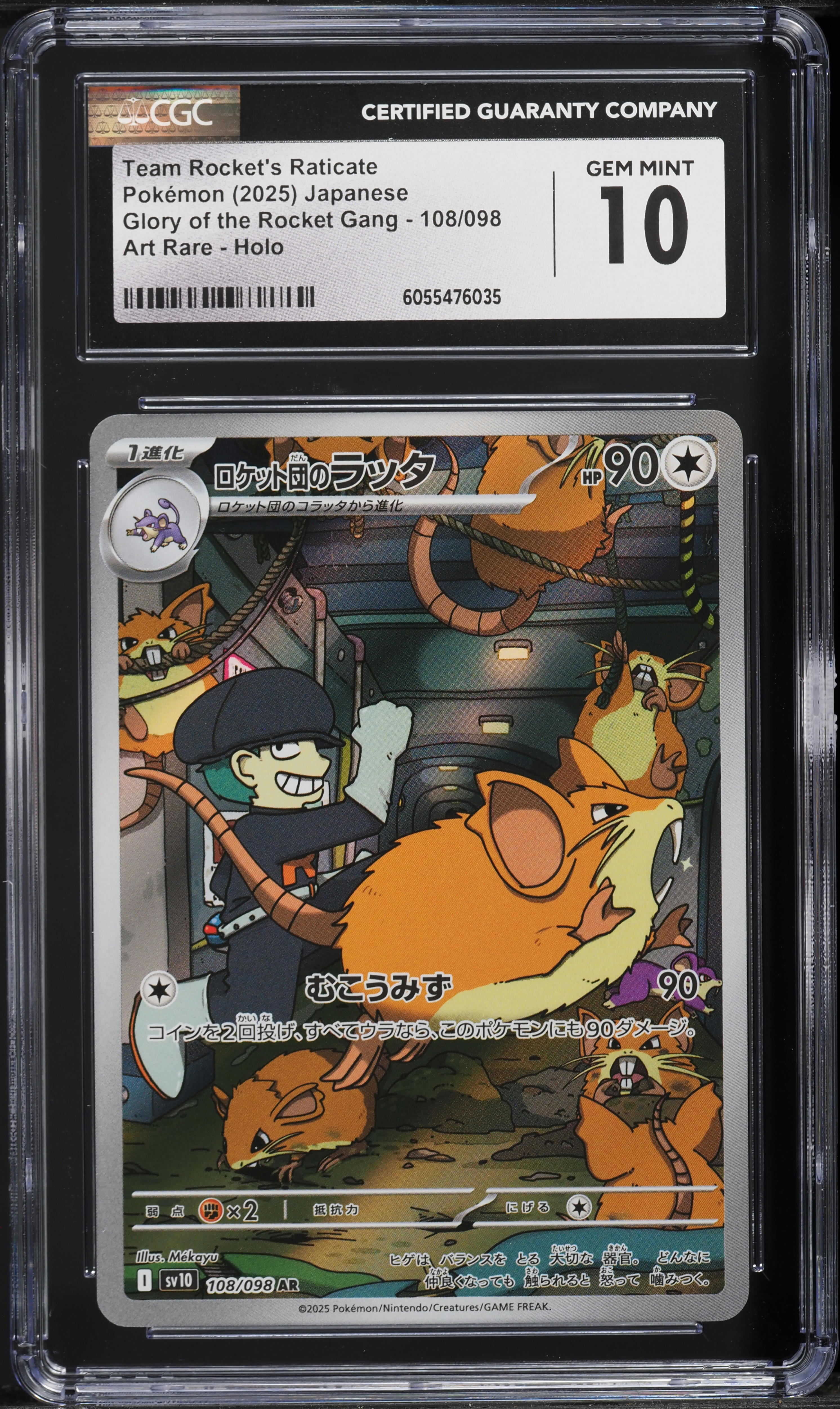 are pokemon booster boxes seeded 2 Packs Of Pokemon Mystery Pack Walgreens Seeded 1:10 POSSIBLE JUNGLE –  Pokemon Philly main image 1