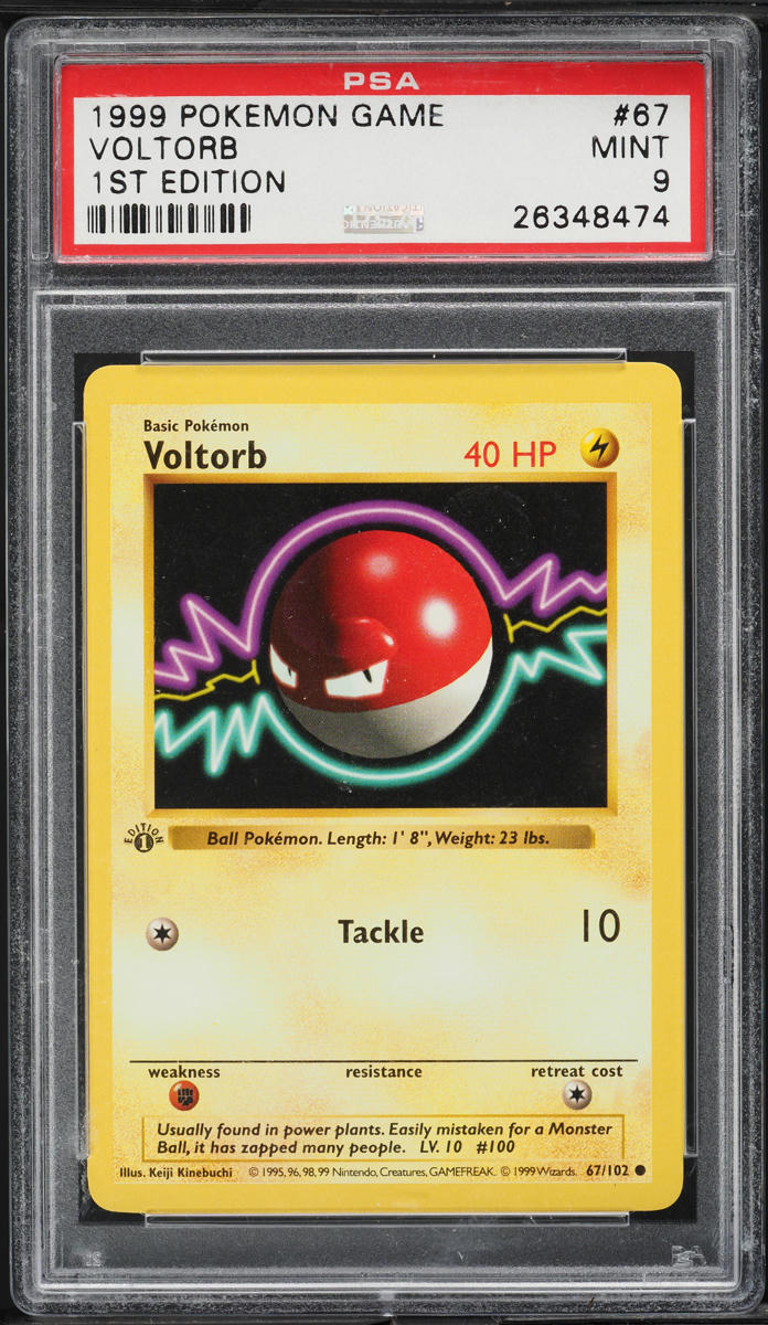 1999 Pokemon Base Set Shadowless 1st Edition Voltorb #67 PSA 9 MINT