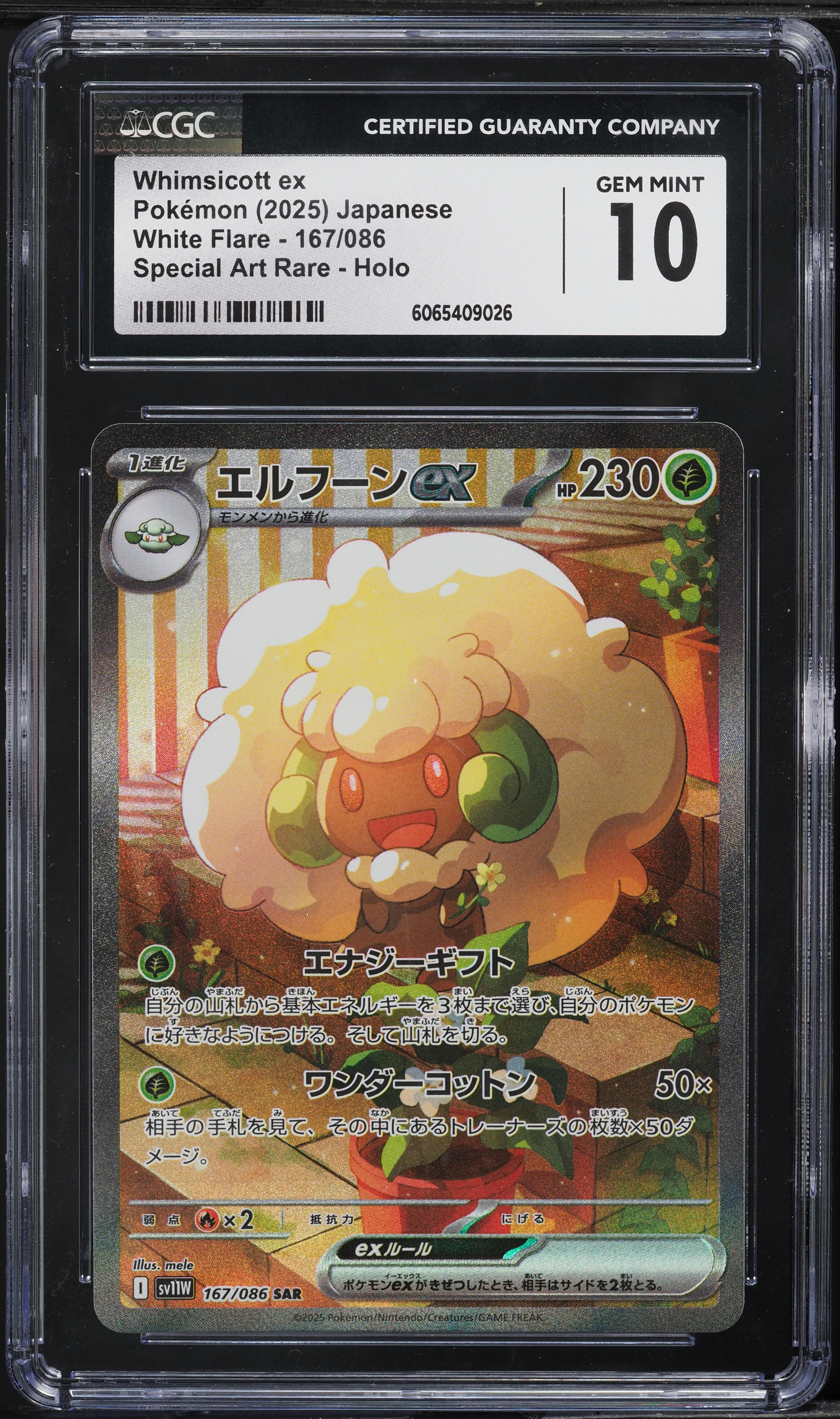 ポケモンカード　表彰状 2025 Pokemon Japanese SV White Flare SAR Whimsicott ex #167 CGC 10