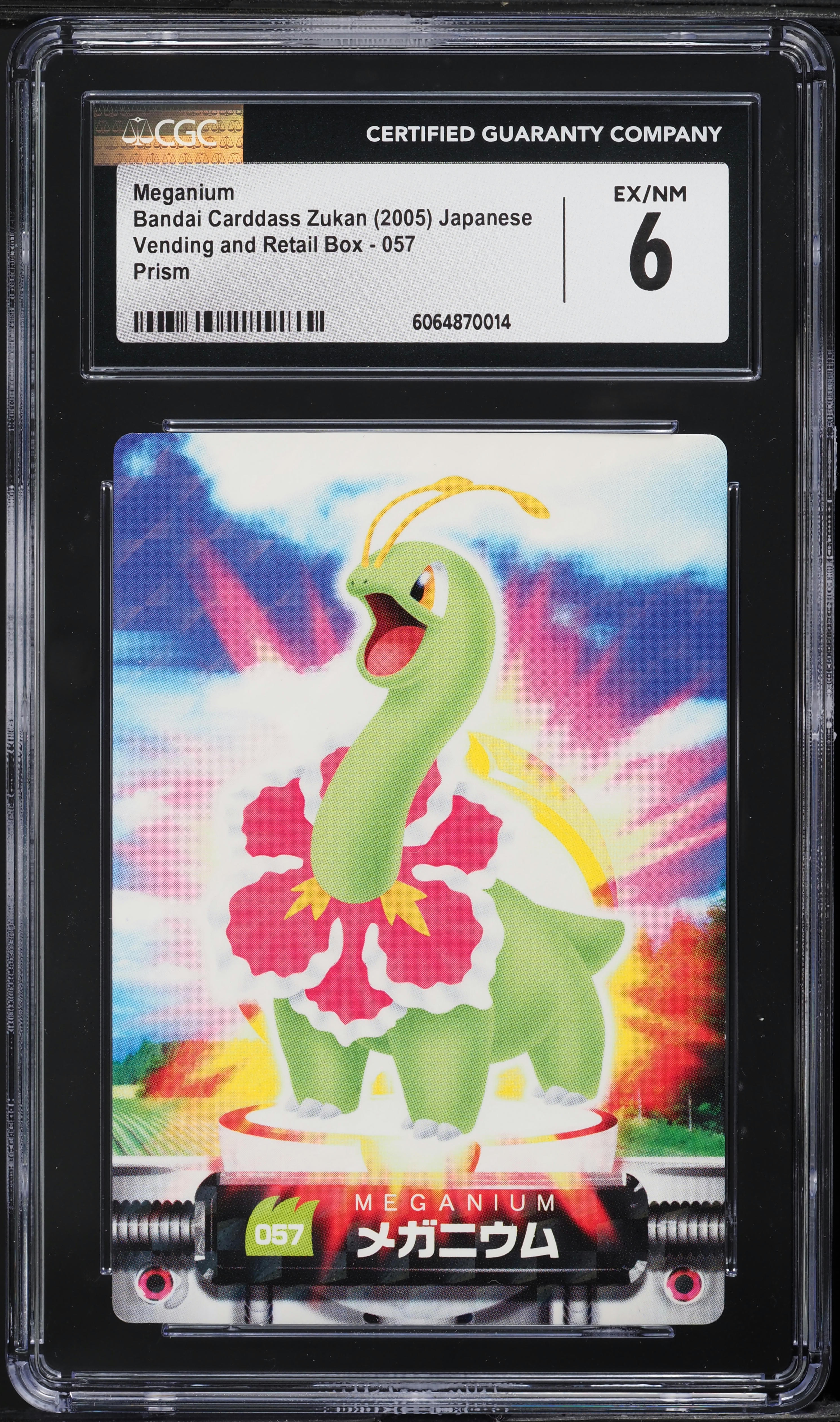 2005 Pokemon Japanese Zukan Vending & Retail Box Prism Meganium