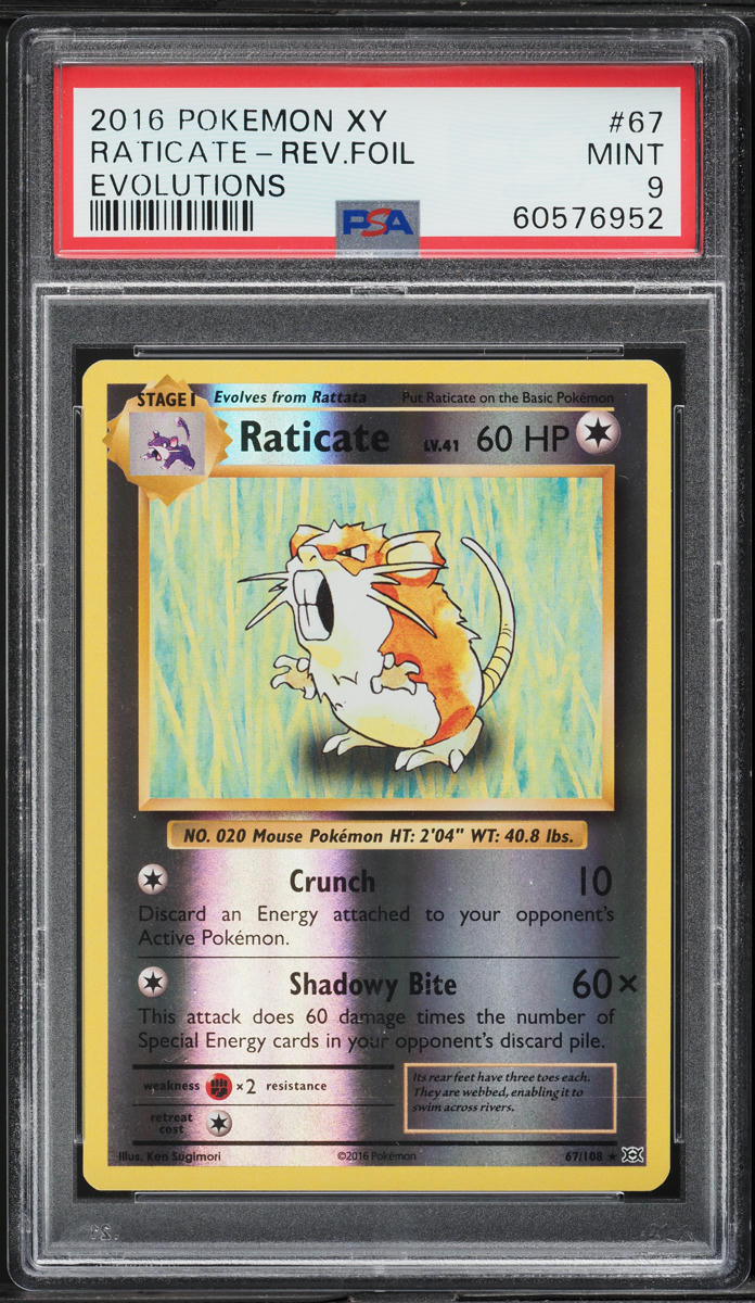 2016 Pokemon XY Evolutions Reverse Holo Raticate #67 PSA 9 MINT