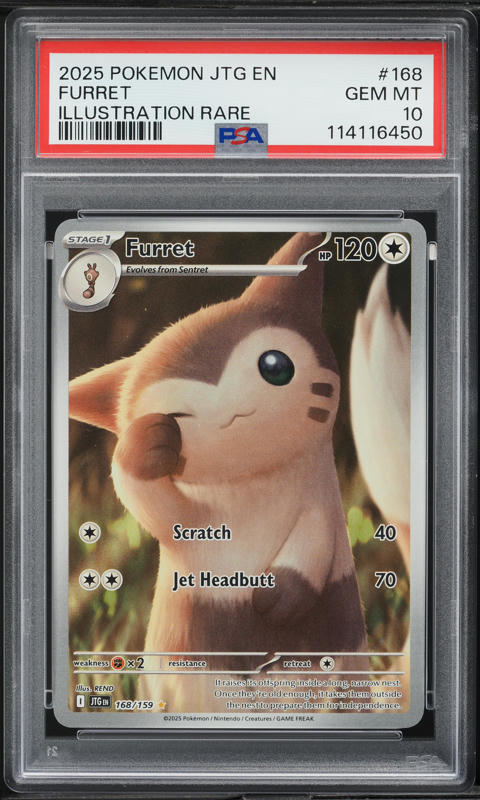 2025 Pokemon Scarlet & Violet Journey Together IR Furret #168 PSA 10 GEM MINT