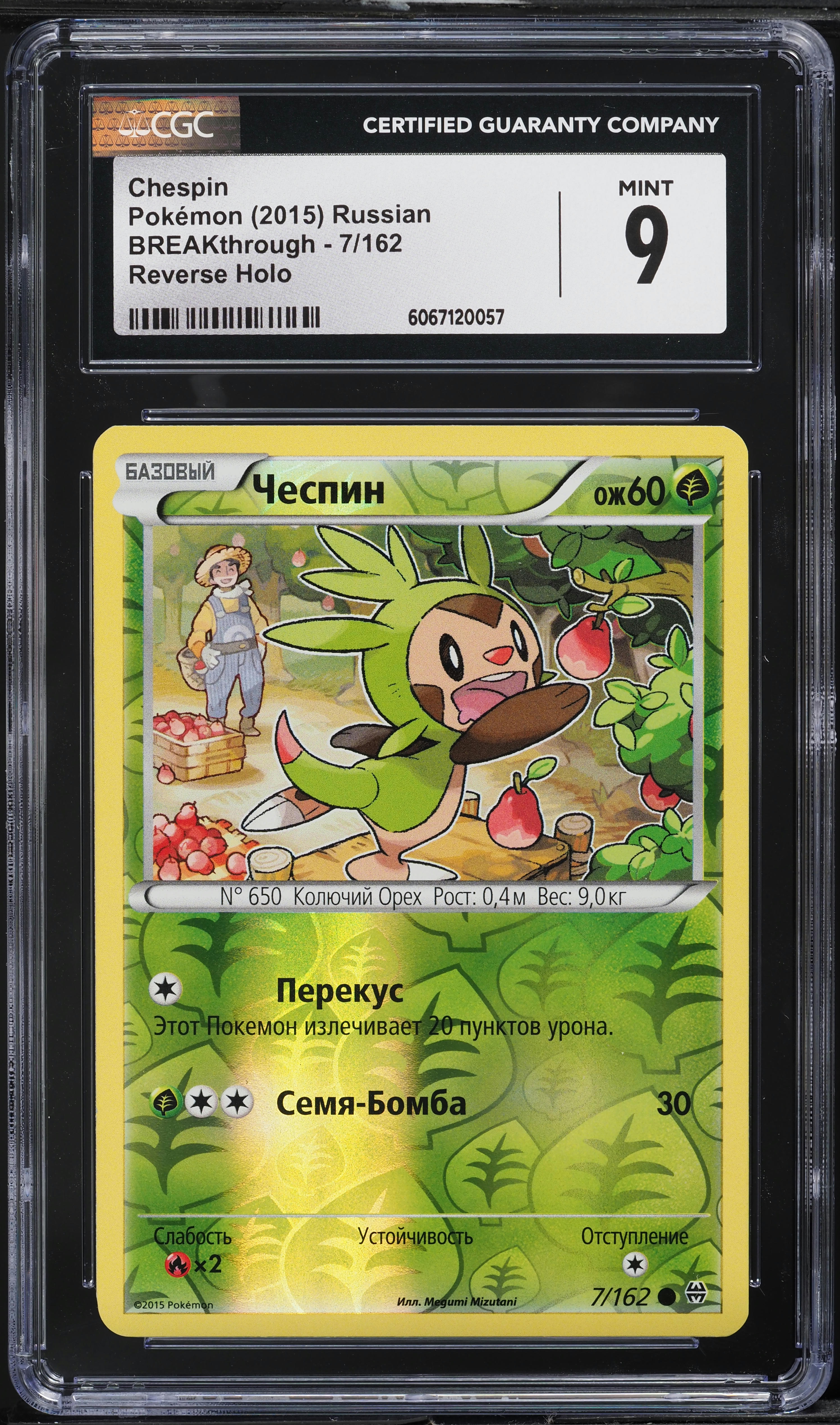pokemon dewgong card Dewgong (25/102) (Shadowless) [Base Set 1st Edition] – TokenMTG