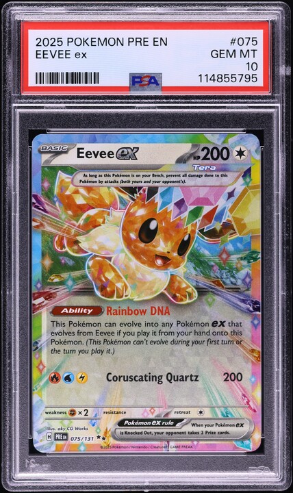 pokemon card eevee evolutions Pokemon Graded: Eevee 74/131 Prismatic Evolutions Pokemon Day Promo Ho –  Double Infinity Gaming main image 1